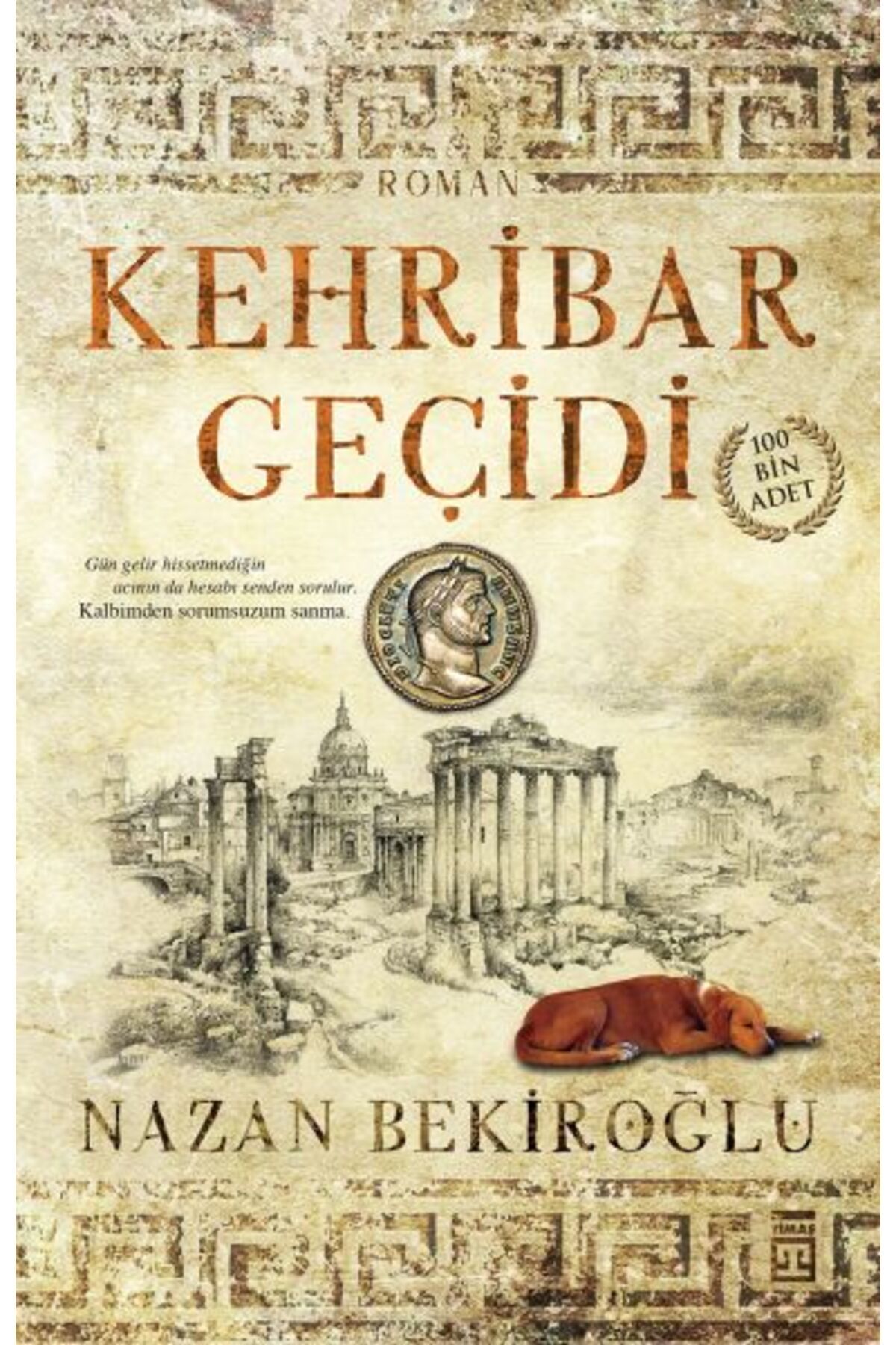 Timaş Yayınları Kehribar Geçidi