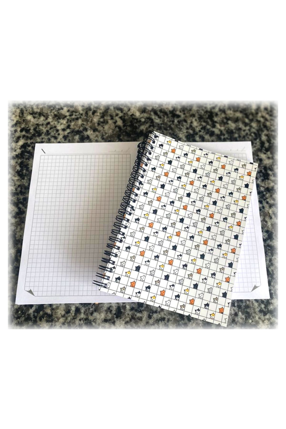Dikkat Ajans Kedi Severlere Okul Defter 2 li set ( Kareli+Çizgili )