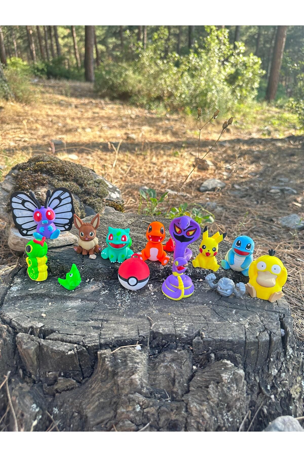 Phoenix Koleksiyon Pokemon Figür Pikachu Bulbasaur Squirtle Charmander Pokemon Topu 5cm Balbazar Poketop 13 PARÇA