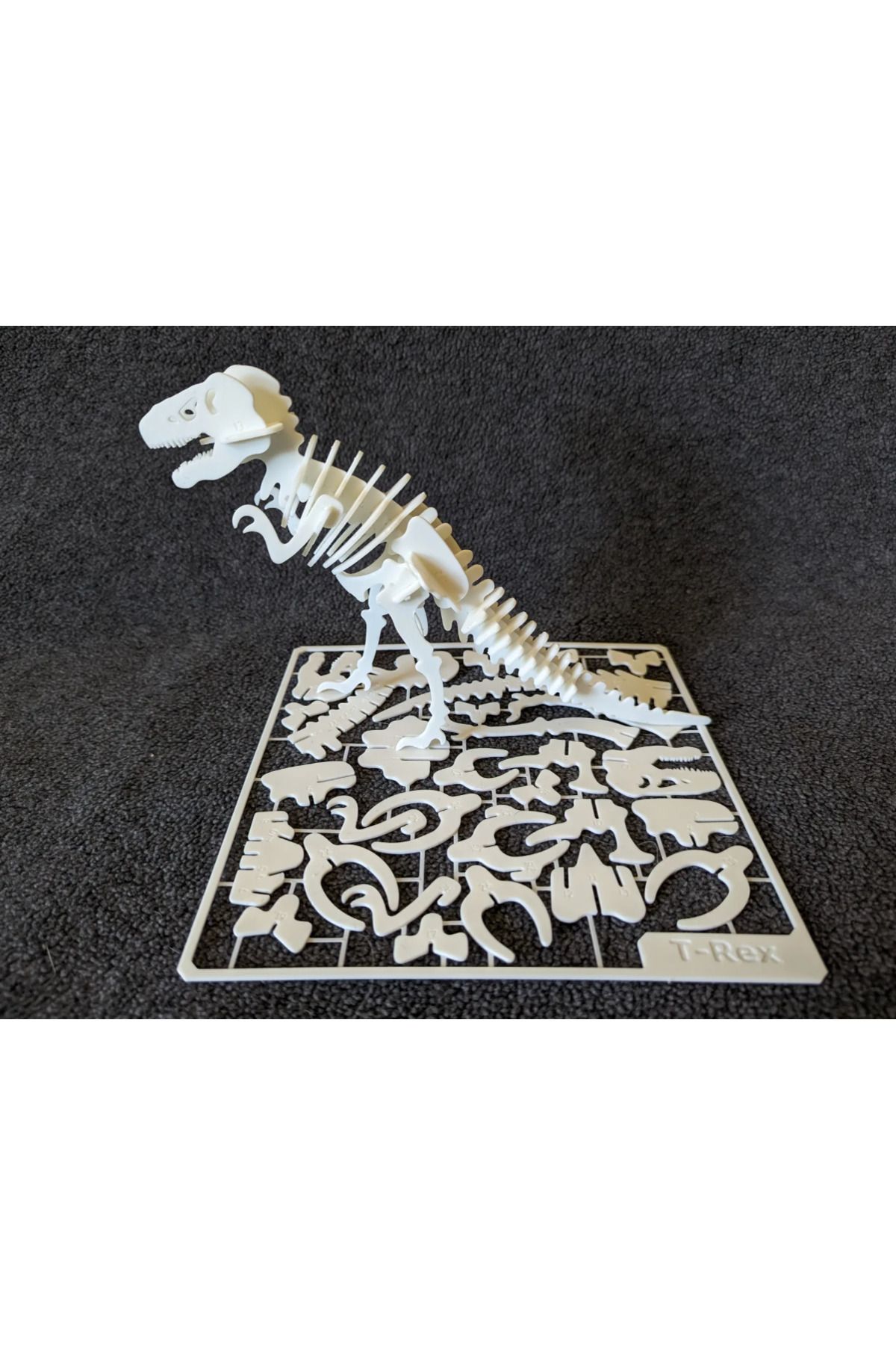 ESL Decor Kendin Yap 3 Boyutlu Puzzle Kiti - T-Rex, Dinazor Temalı - Numaralı ve Standlı