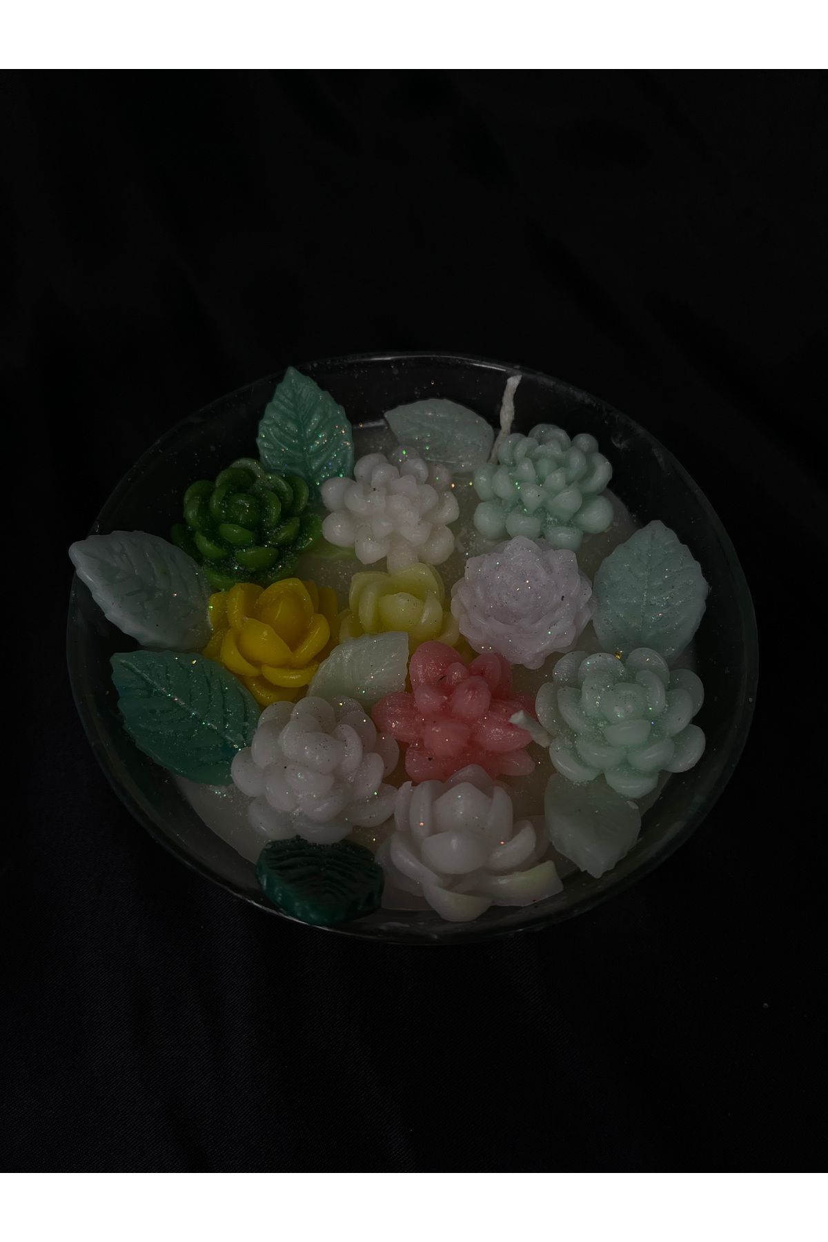 Nis Candle More Cam kapta sukulent mum