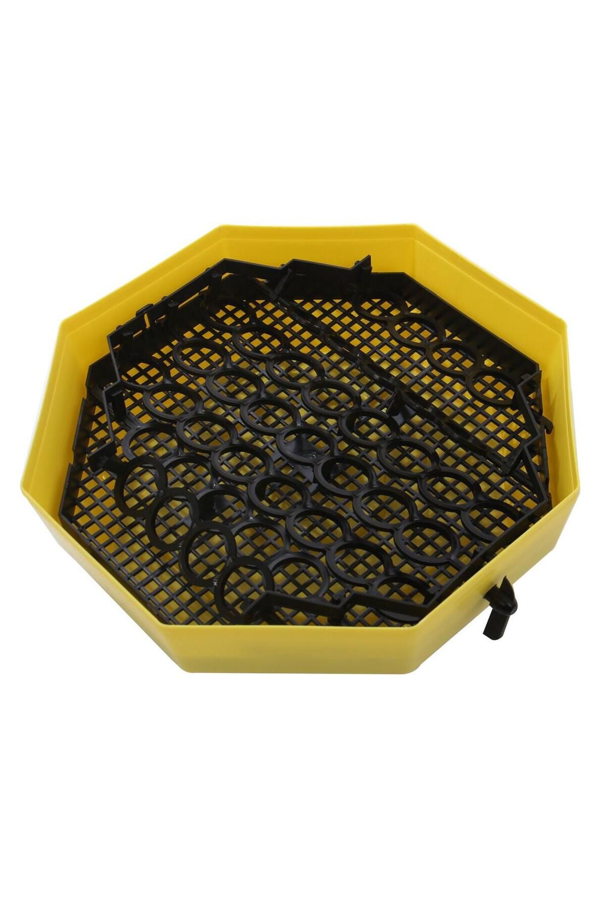 ertone-Incubator electric oua cu dispozitiv de intoarcere si termometru Cleo 5DT, 41 oua, 38°C 4