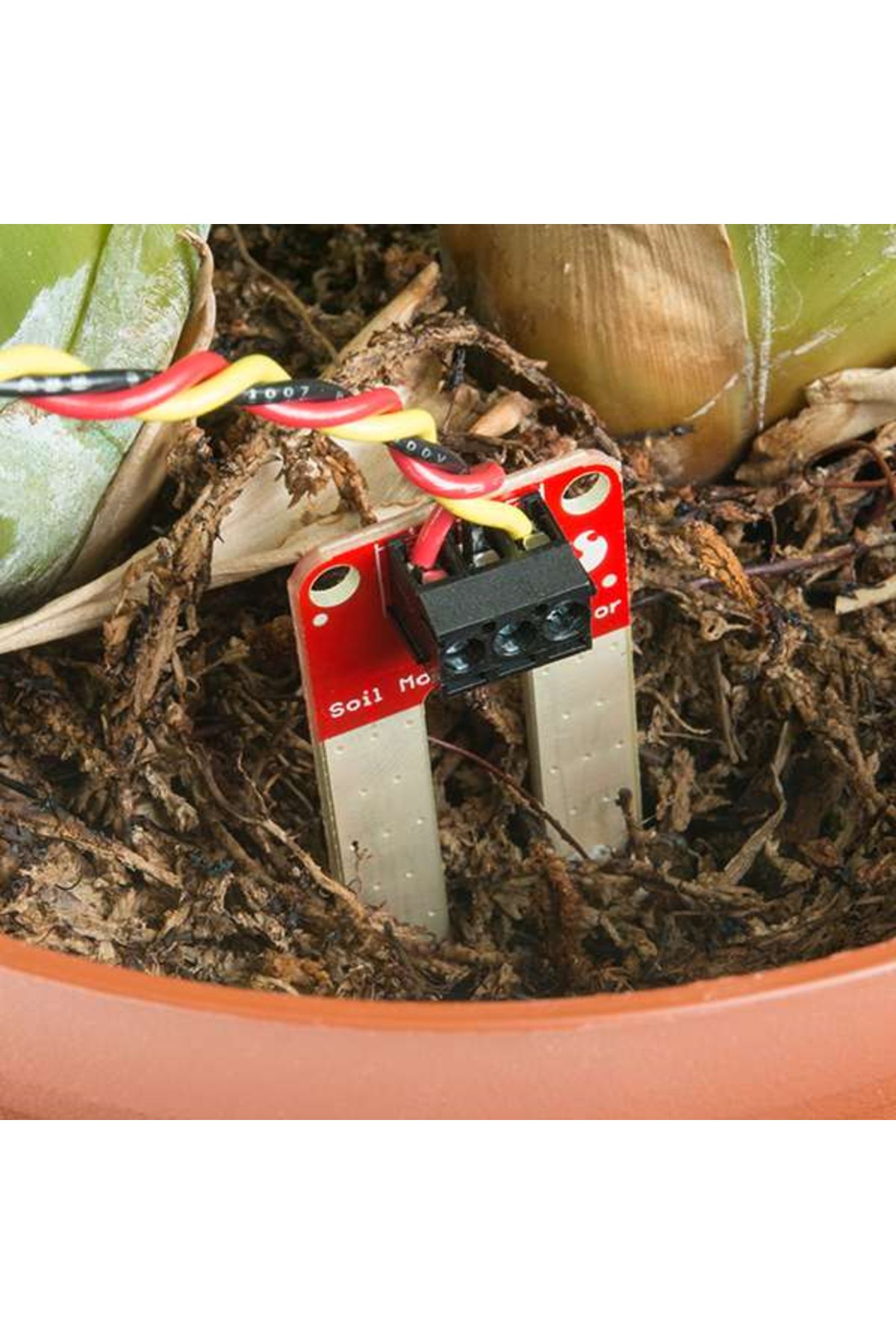 Sparkfun-Soil moisture sensor 4