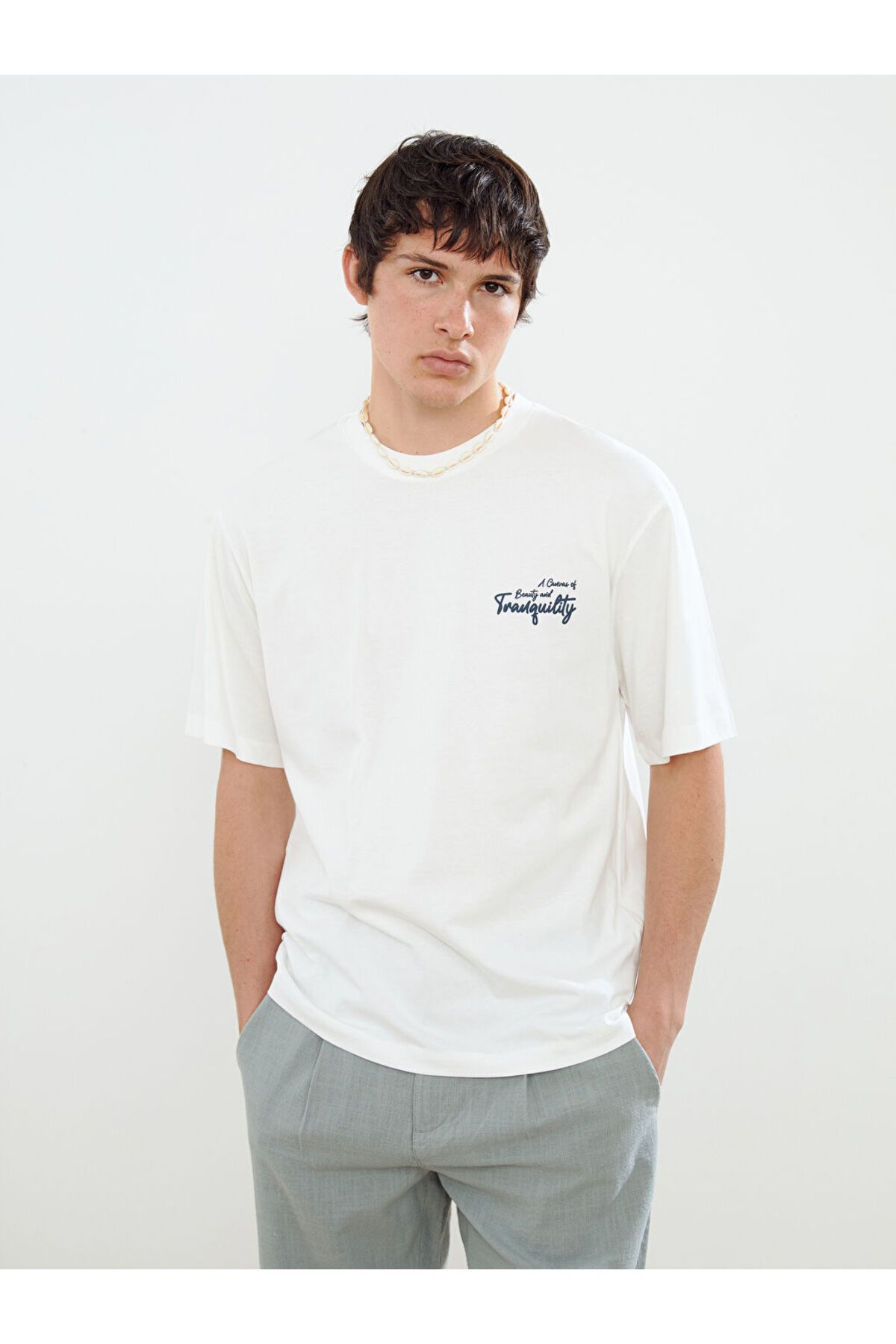 LC Waikiki-New Season Crew Neck εμπριμέ χτενισμένο βαμβακερό ανδρικό Tisort - S5IM10Z8 2