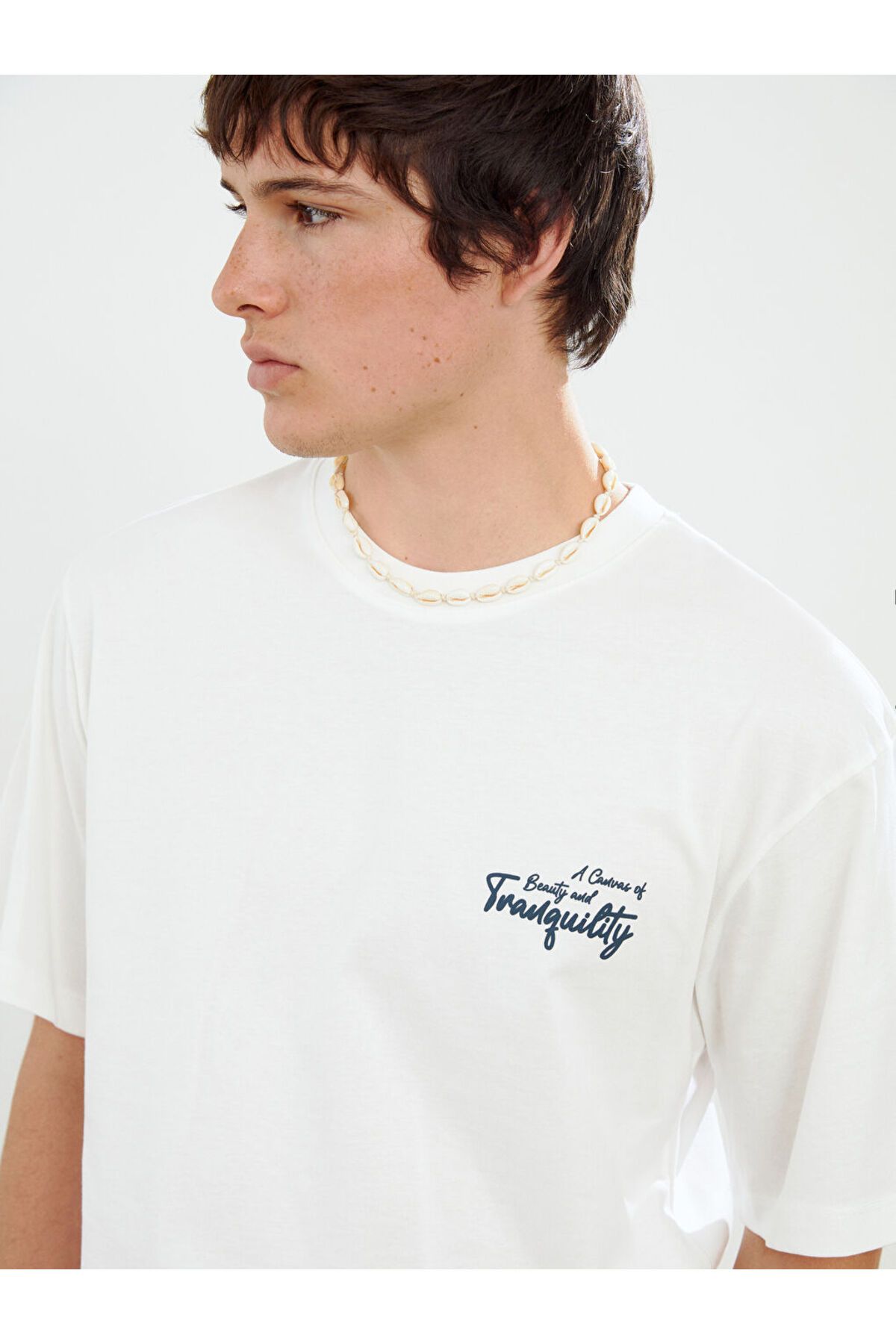 LC Waikiki-New Season Crew Neck εμπριμέ χτενισμένο βαμβακερό ανδρικό Tisort - S5IM10Z8 3