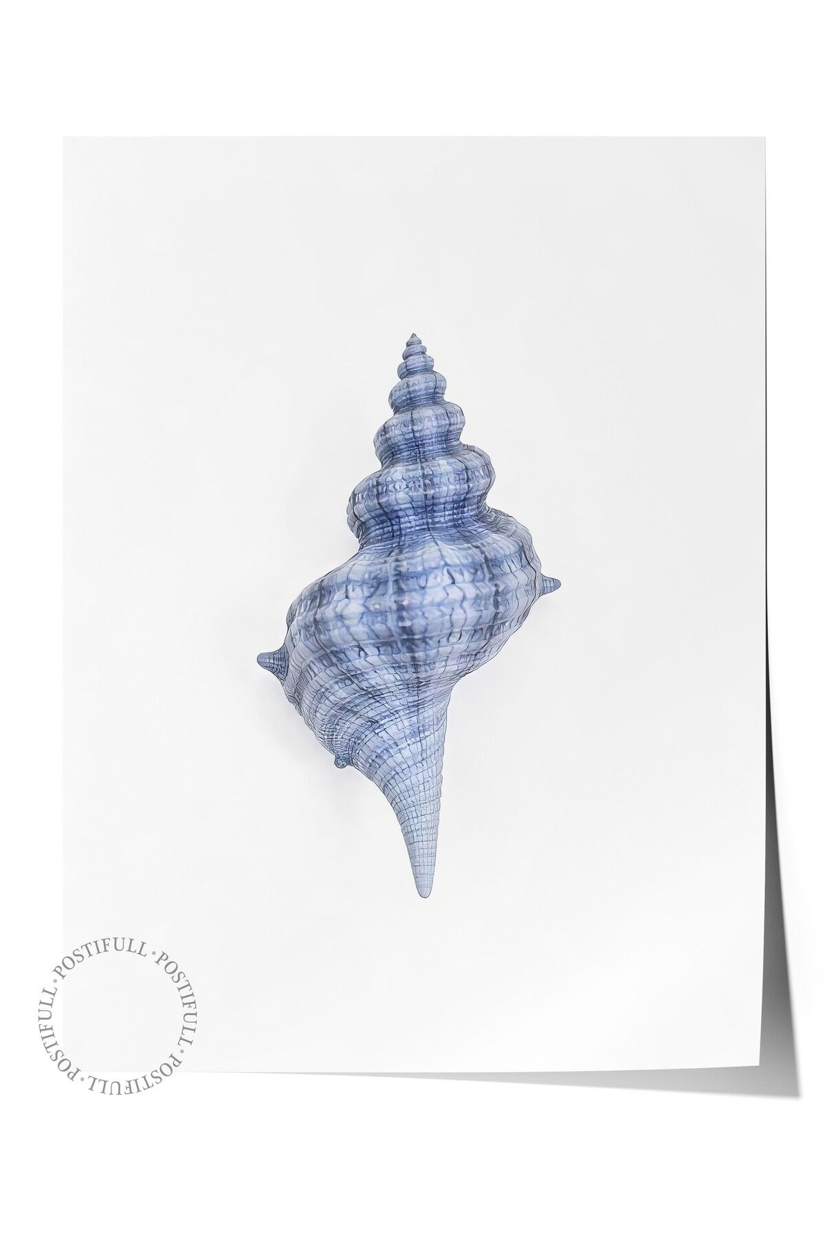Postifull Çerçevesiz Duvar Posteri, Deniz Kabuğu, İllüstrasyon, Mavi Renk Poster, 2025 Yaz Seçkisi, NO:109579