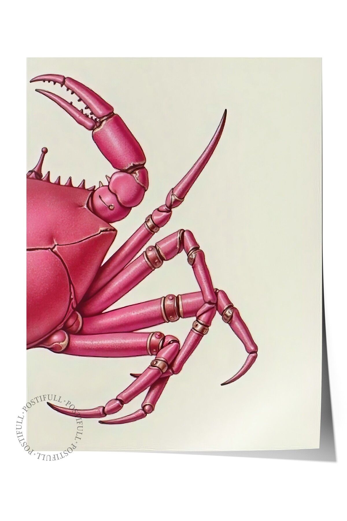 Postifull Çerçevesiz Duvar Posteri, Pembe Yengeç, İllüstrasyon, Pembe Renk Poster, 2025 Yaz Seçkisi, NO:109598