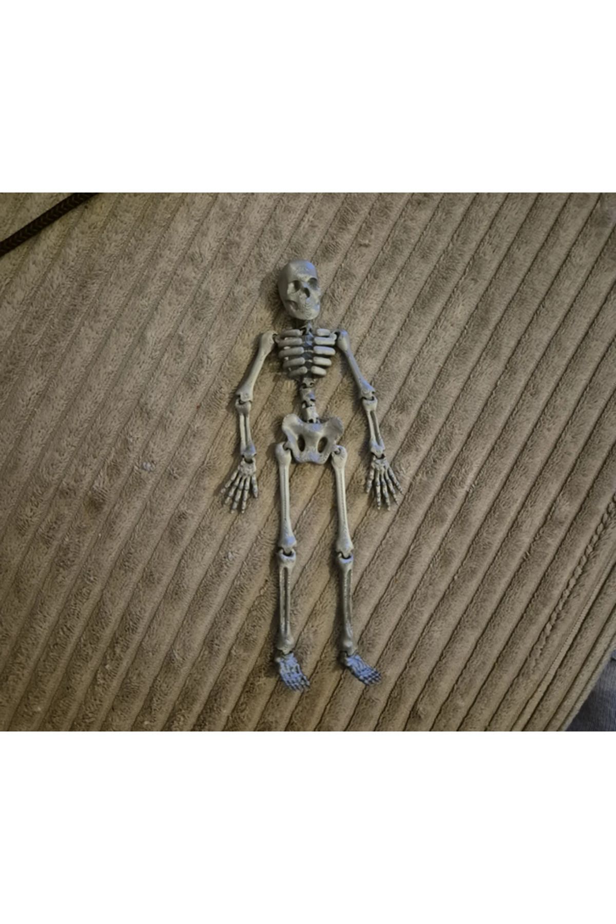 TSC Oyuncak İskelet Model 13CM PLA Doğal Malzeme