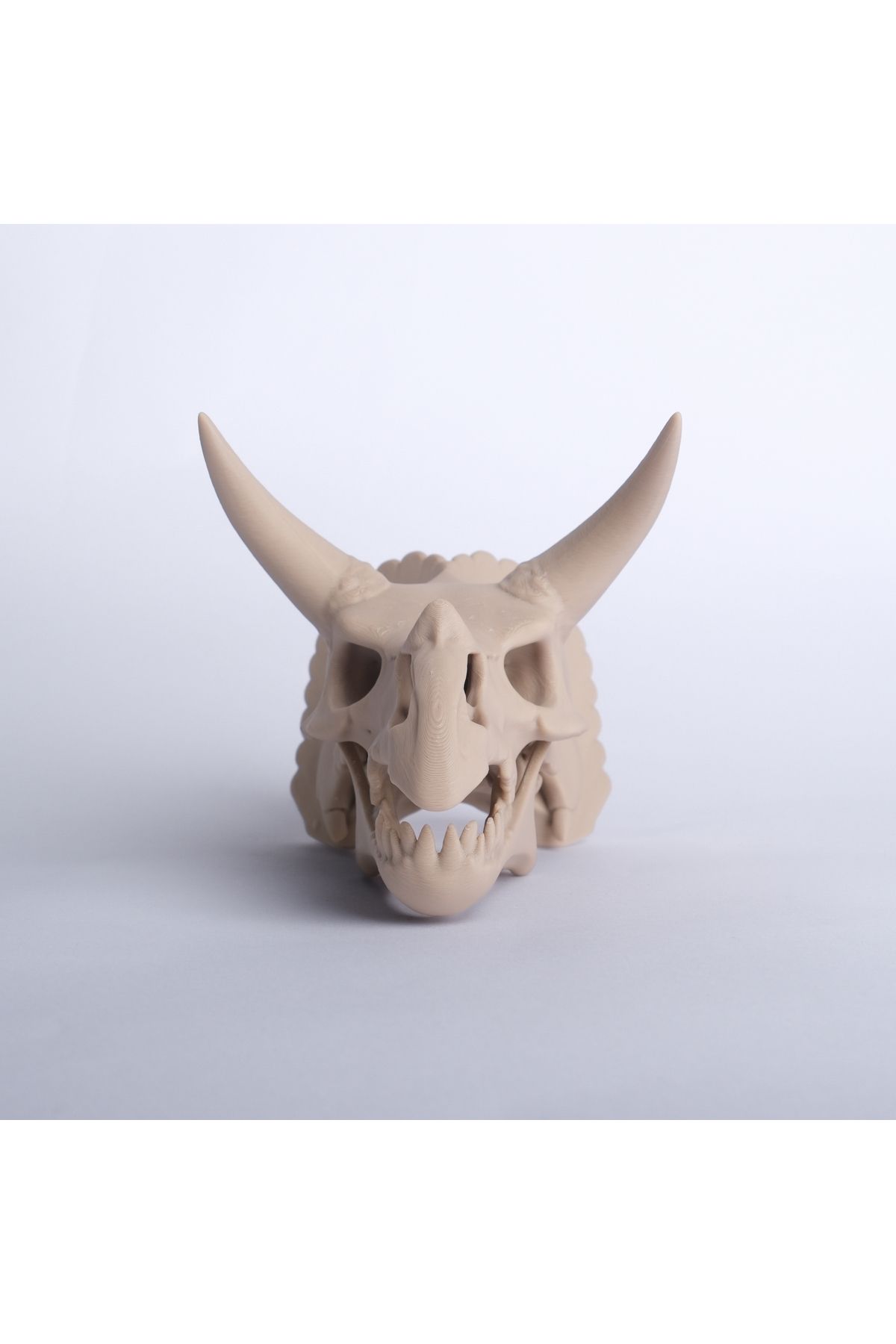 Craftory 3D Triceratops Kafatası Biblo – 16 cm Dinozor Dekoru
