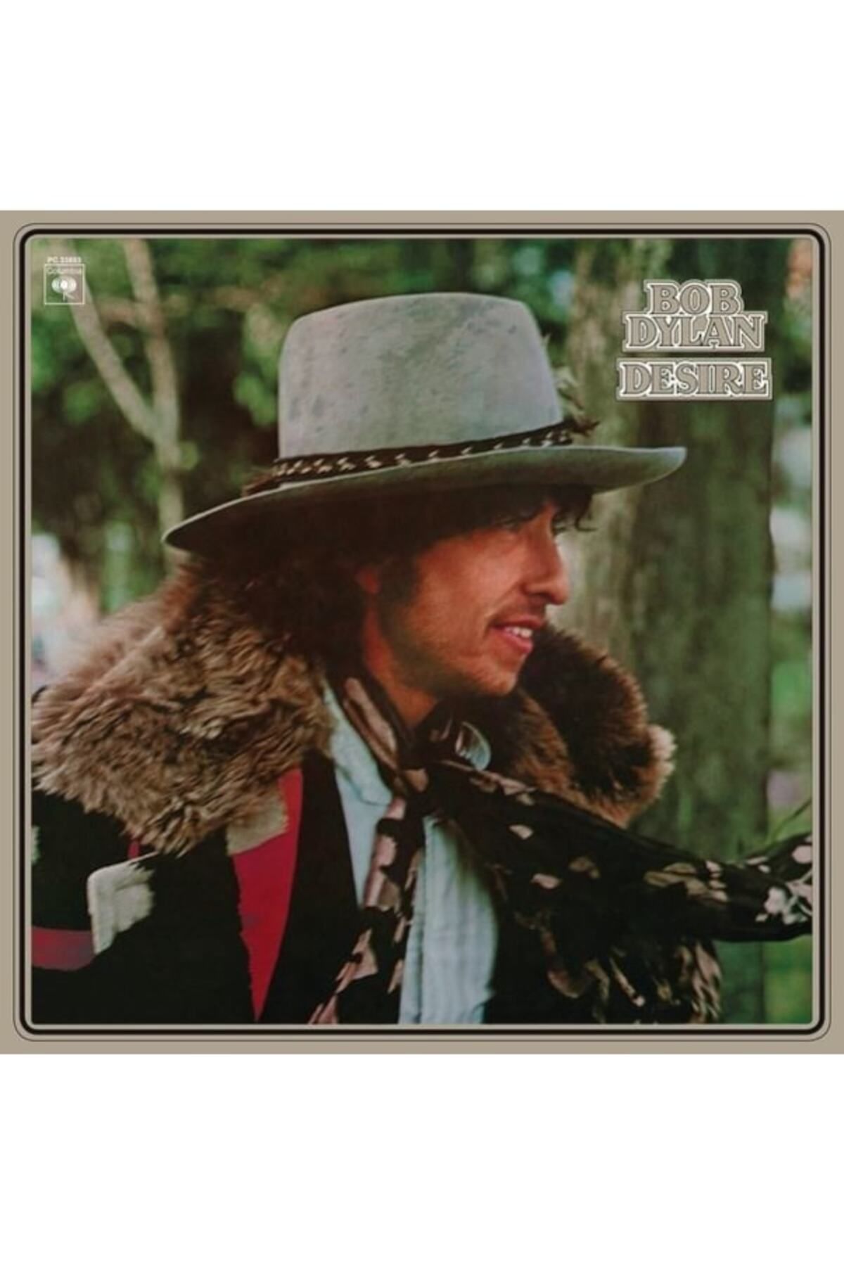 Ege Kitap ve Plak Evi Bob Dylan - Desire , Lp Folk Rock