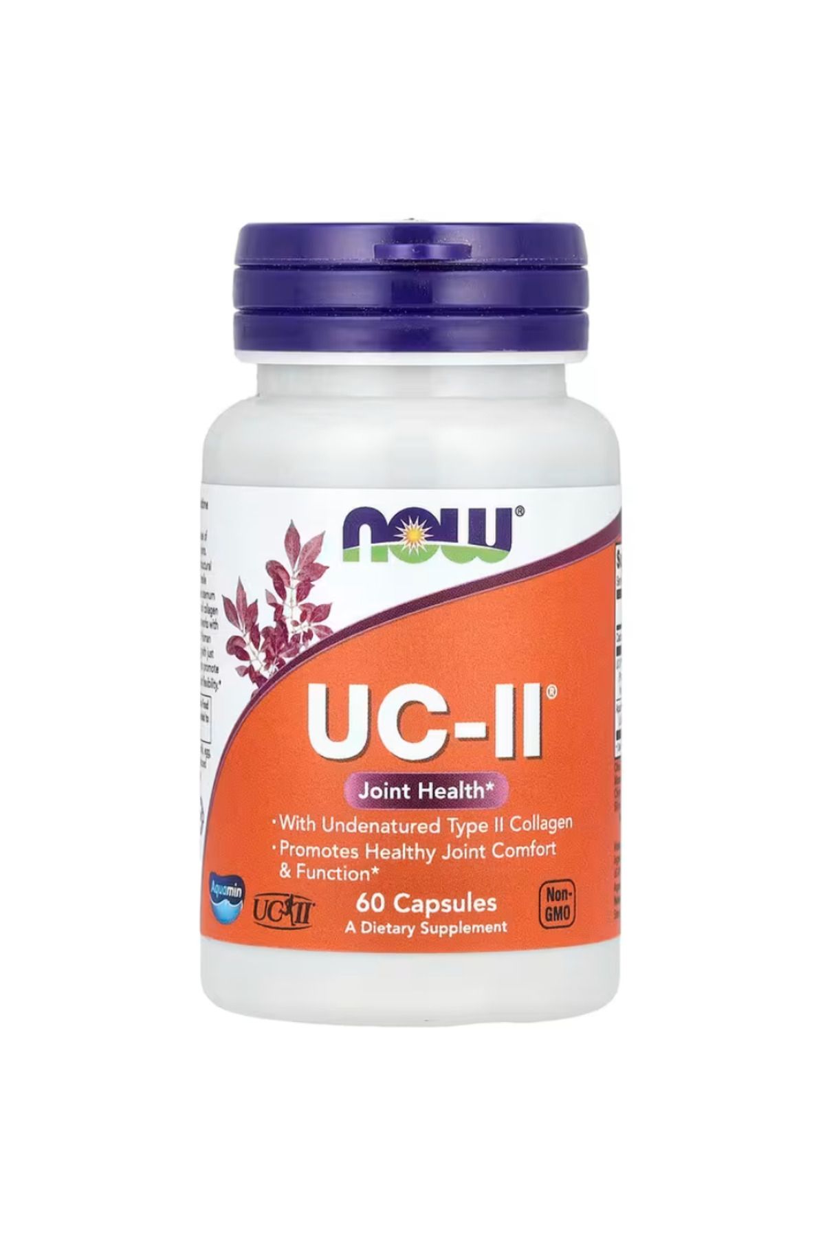 Now Foods , UC-II Joint Health with Undenatured Type II Collagen, 60 Capsules