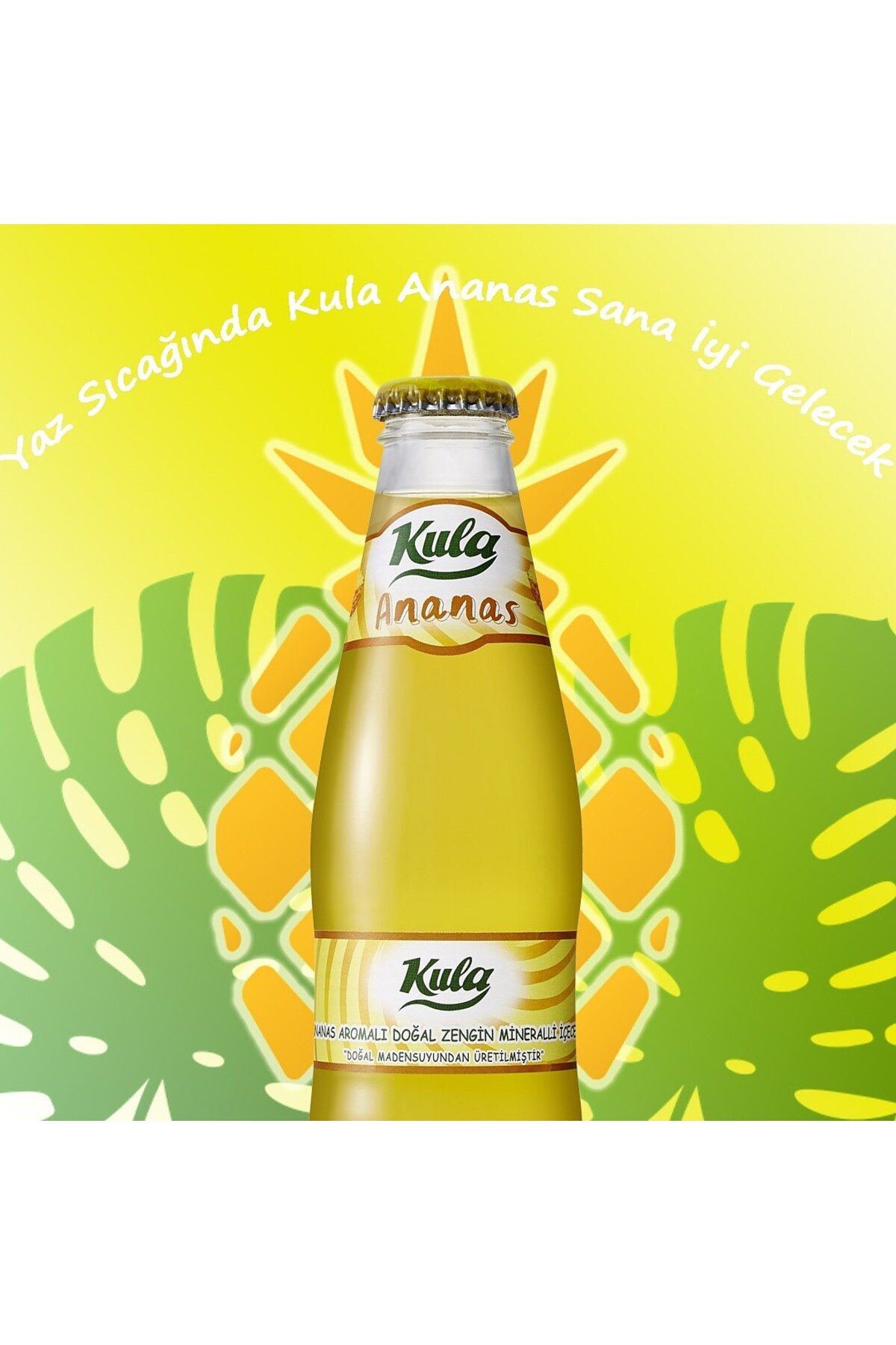Kula Ananas Kula Soda 4x6 24Adet