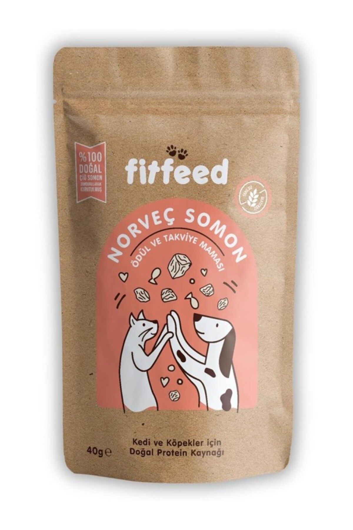 ShopZum Fitfeed Freeze-Dried Çiğ Norveç Somon Ve Köpek Ödülü 40G