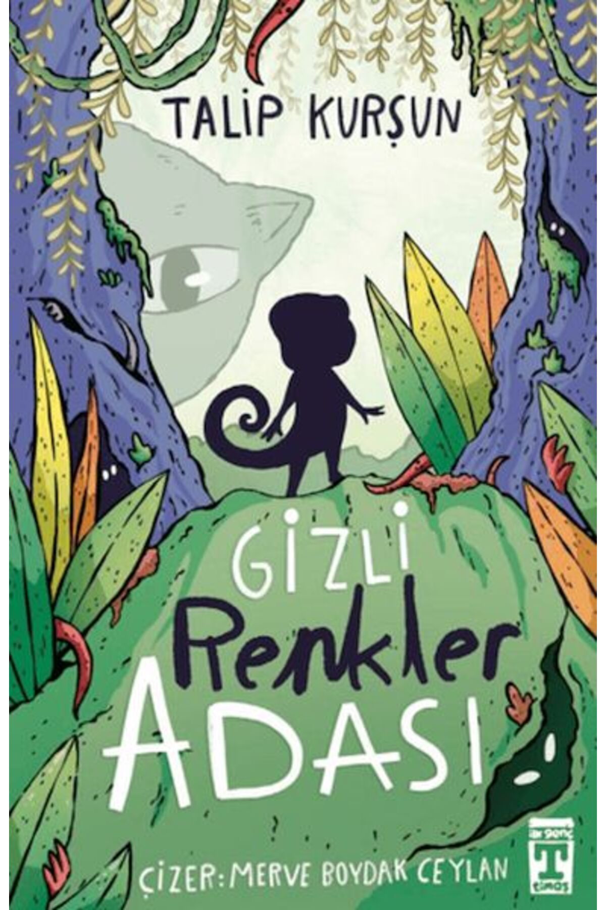 Destek Yayınları Gizli Renkler Adası