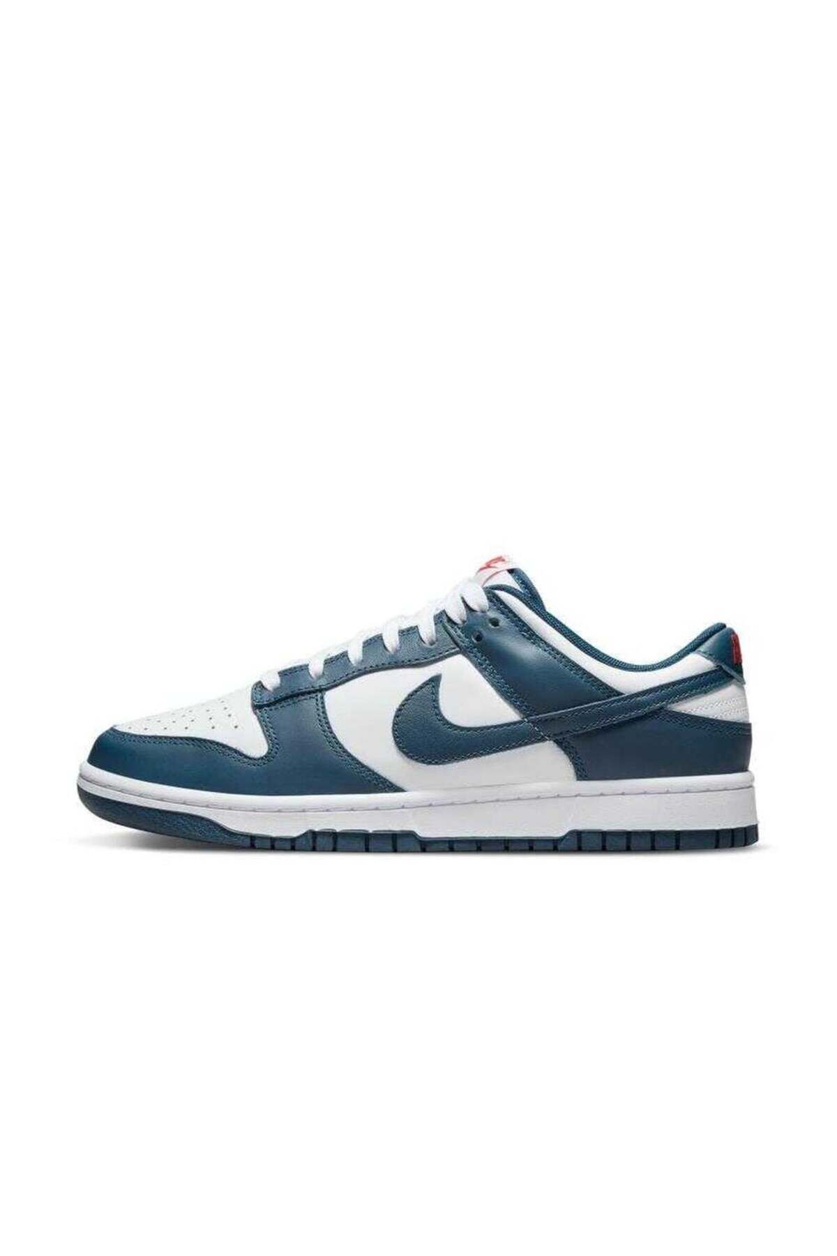 Nike Dunk Low Retro Erkek Sneaker Ayakkabı DD1391-400