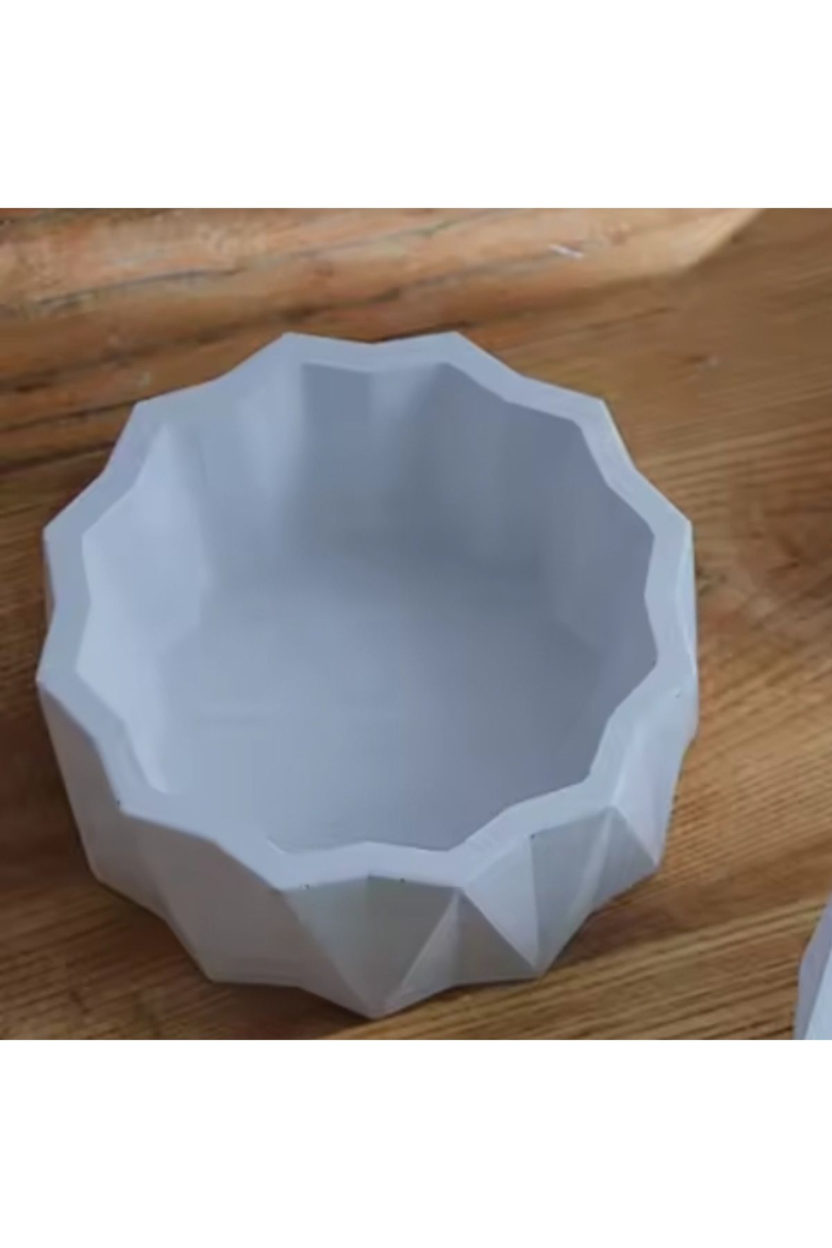 Lemonhouse İskandinav Kesim Kaktüs Sukulent Saksısı Beton 15cm