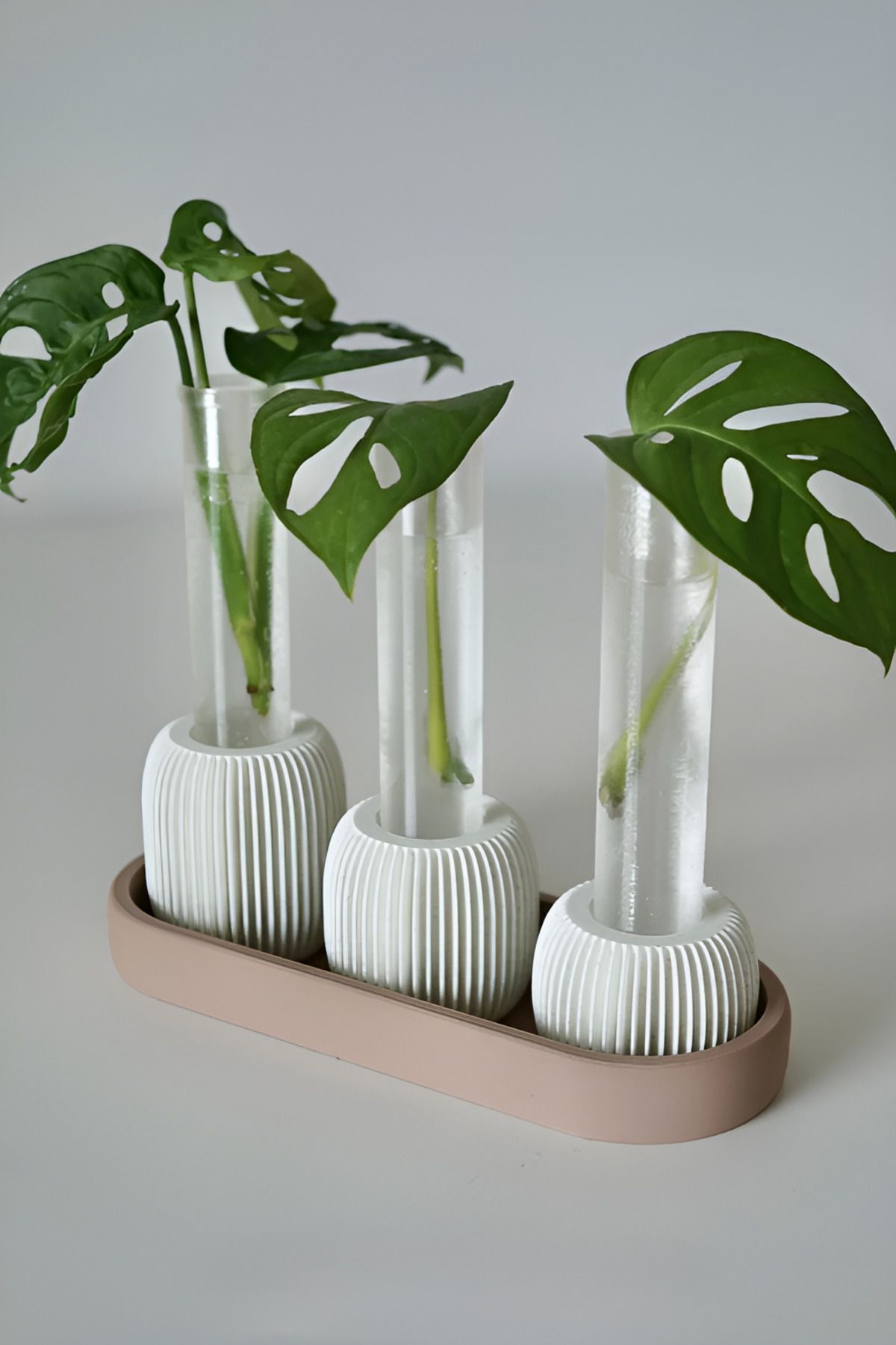 HANFAB 3'lü Dekoratif Şeffaf Köklenme Kabı 🌱