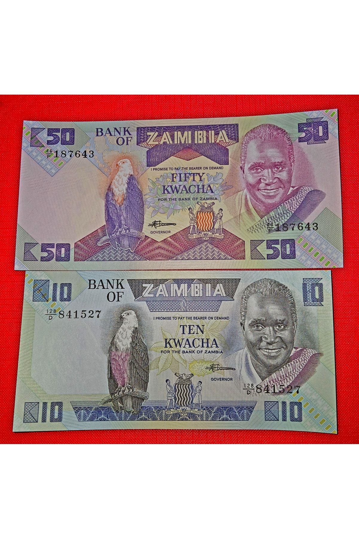 DÜZGÜN TİCARET Zambia 10 - 50 Kwacha Yabancı Kağıt Para Görseldeki