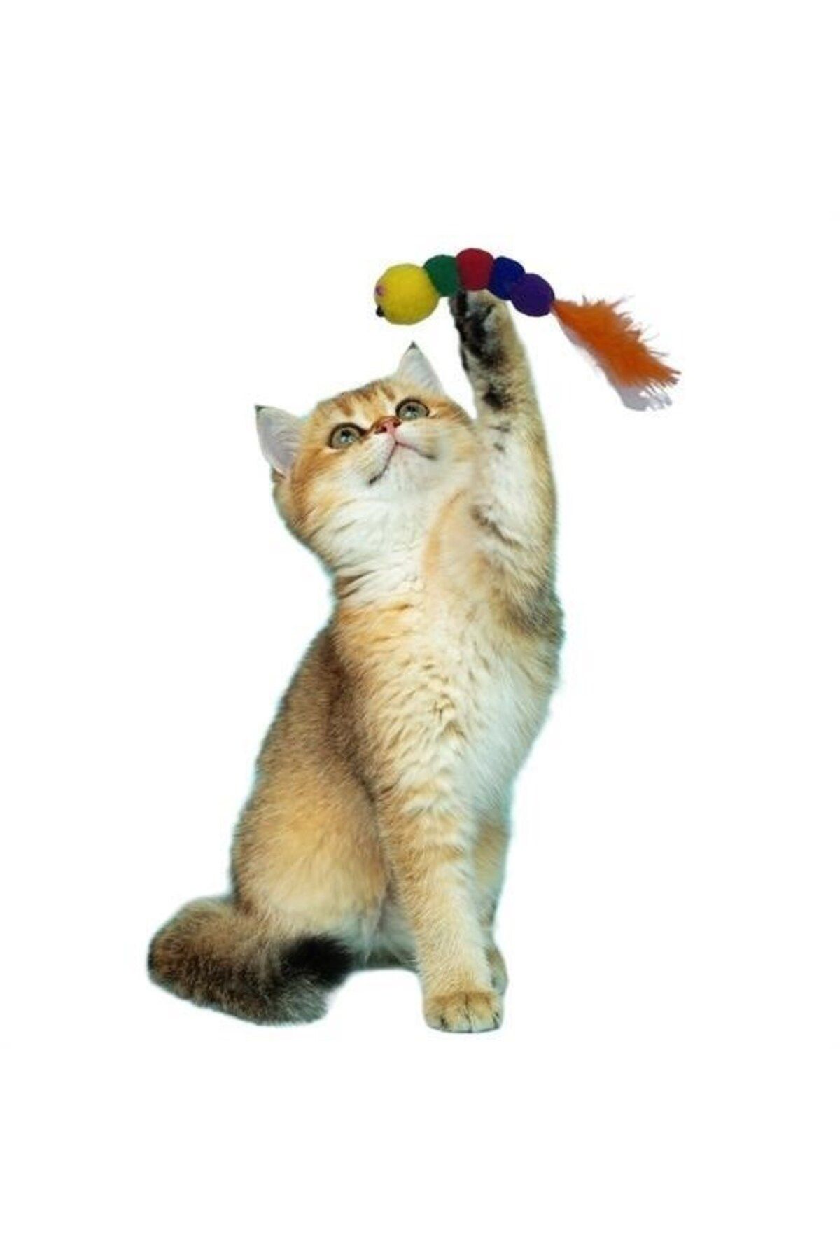 Skygo-BUFFER® Caterpillar Shaped Colorful Cute Pet Toy with Soft String 2