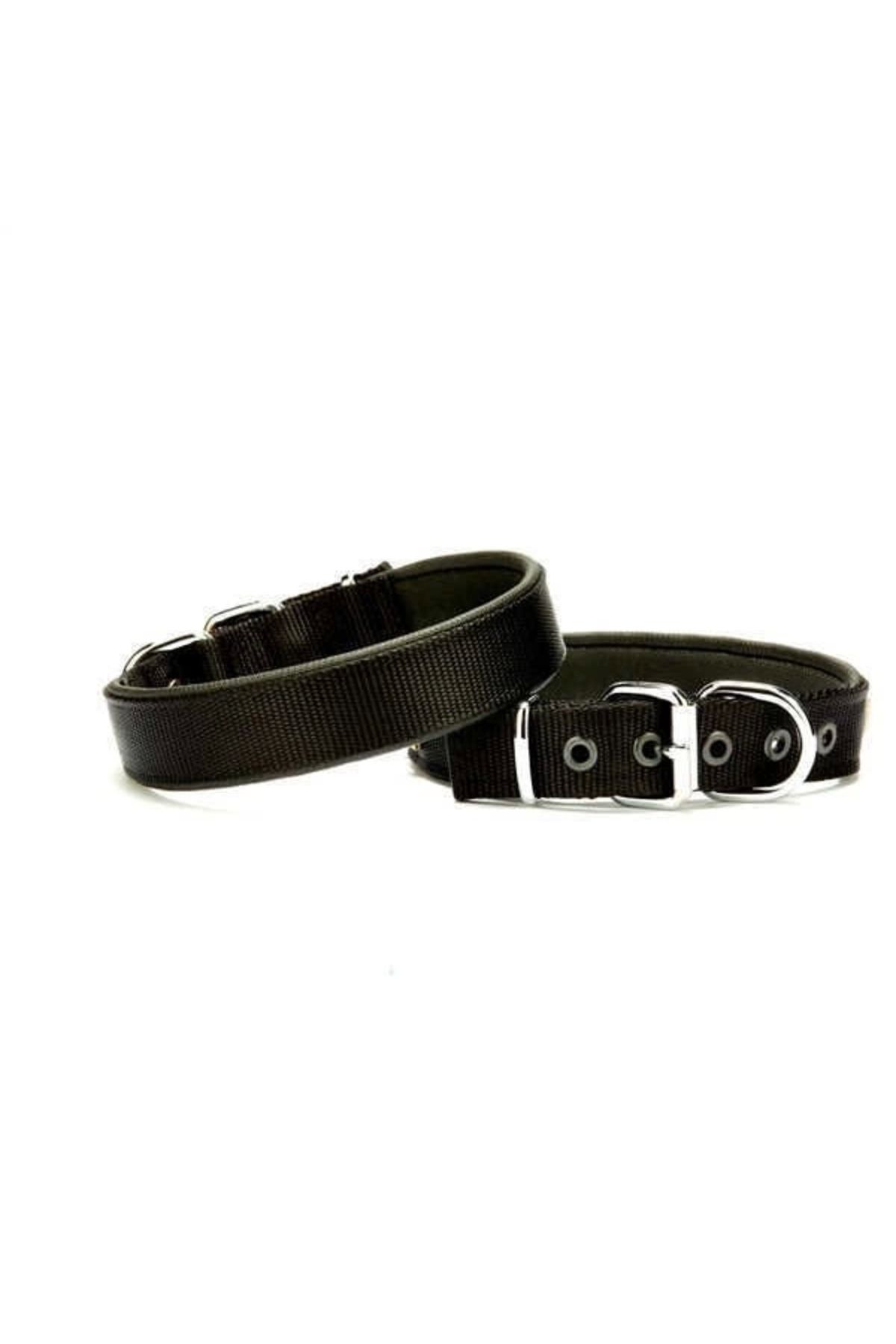DOGGİ Doggie Köpek Tasması Softlu 3 cm x 65 cm Siyah