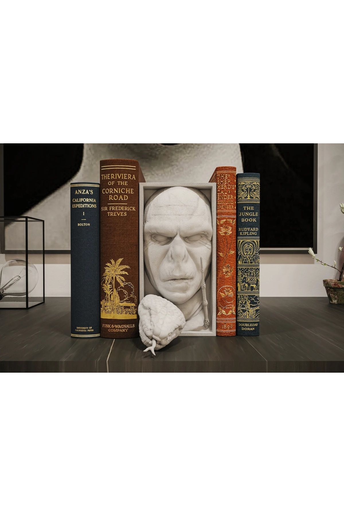 SerenityHaven Voldemort Book Nook Kitaplık Dekorasyonu Harry Potter