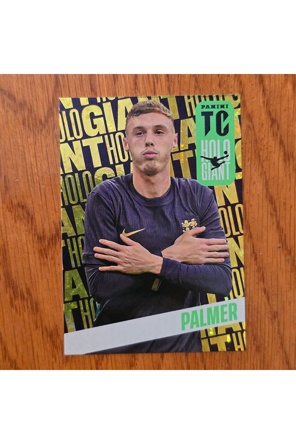Panini Top Class Holo Giant Palmer Oyun Kartı