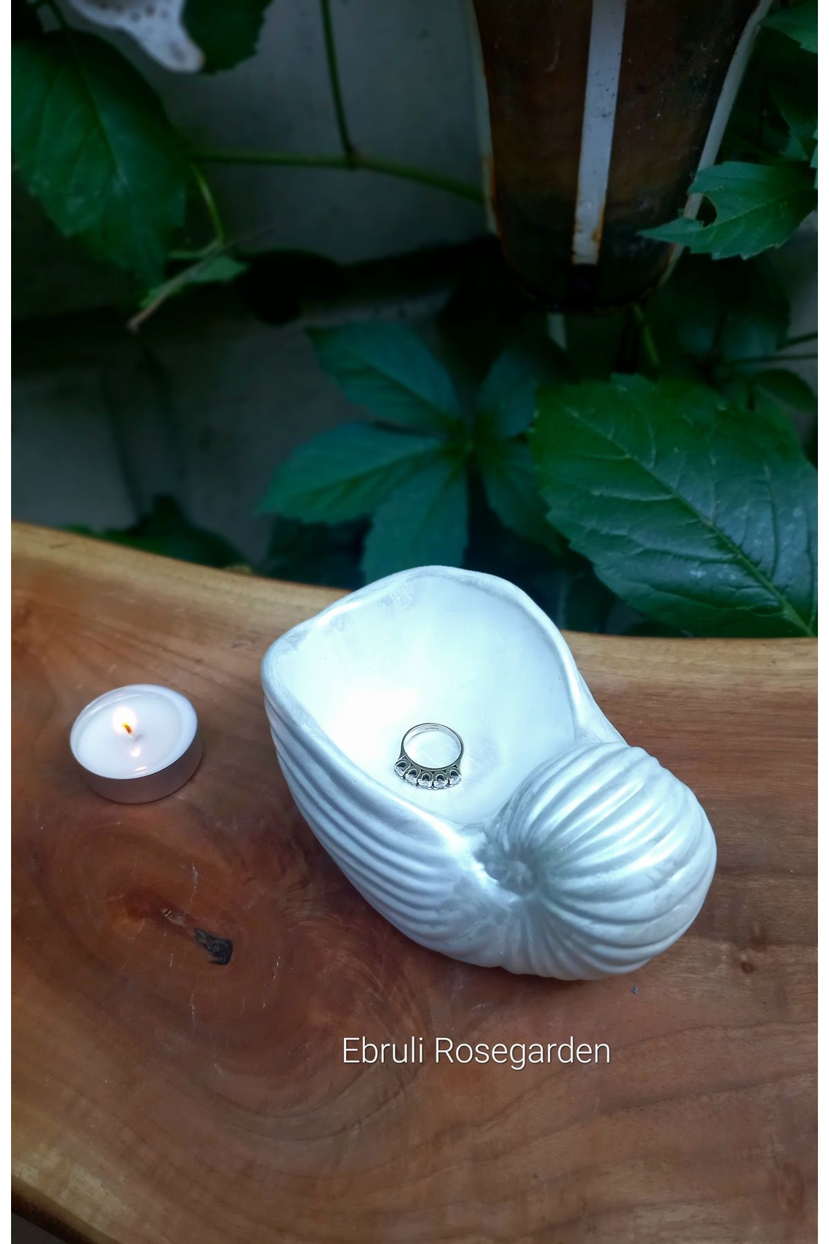 Ebruli Rosegarden İNCİ Serisi Helezon Deniz Kabuğu İstridye Beton Dekoratif Kase Takı Tabağı ve Tealight Mum
