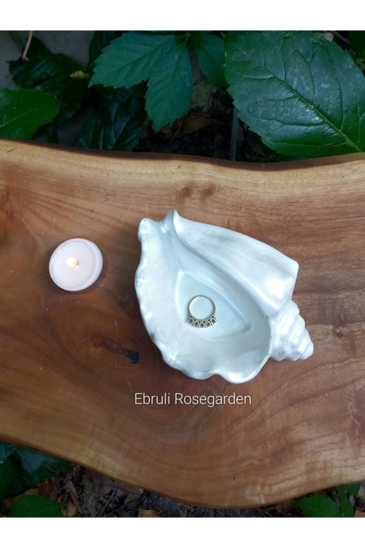 Ebruli Rosegarden İNCİ Serisi Conch Deniz Kabuğu İstridye Beton Dekoratif Kase Takı Tabağı ve Tealight Mum