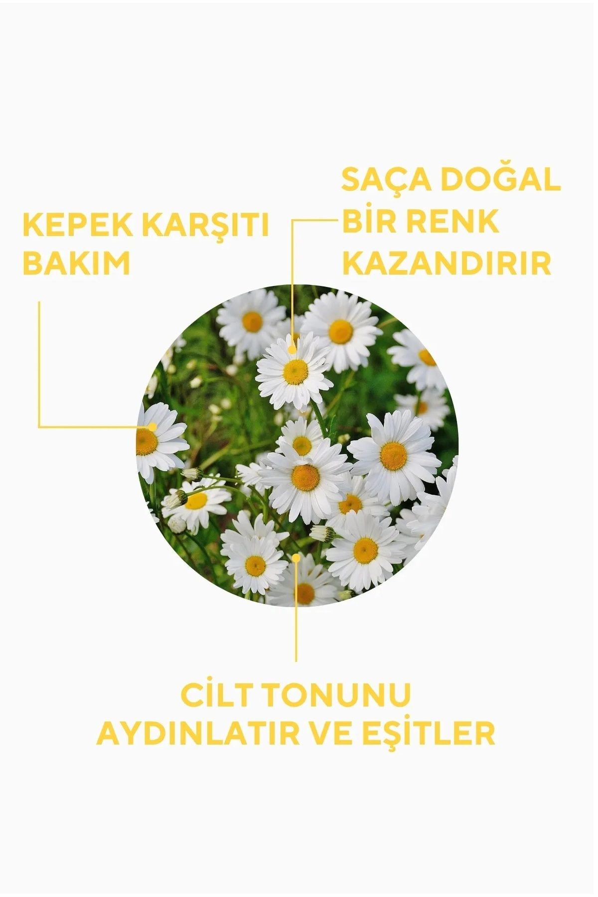 تونیک مو 2 آب میوه دیزی خالص روشنایی و پشتیبانی از رطوبت پوست سر 100 میل × The Ceel