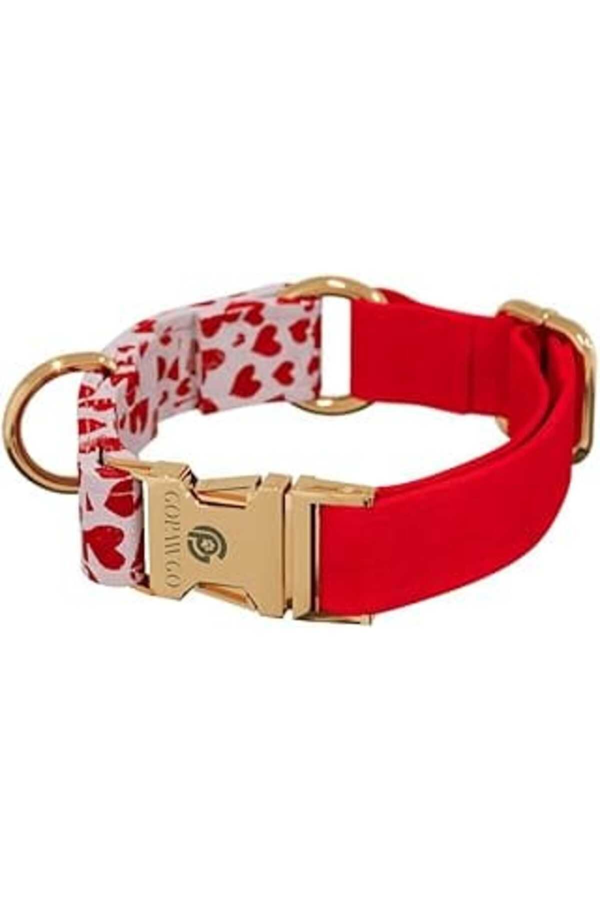 Pazarcan Gopawgo Valentine Quick Release Premium Köpek Tasması | El Yapımı | Büyük Ve Küçük Köpekler Için Ay