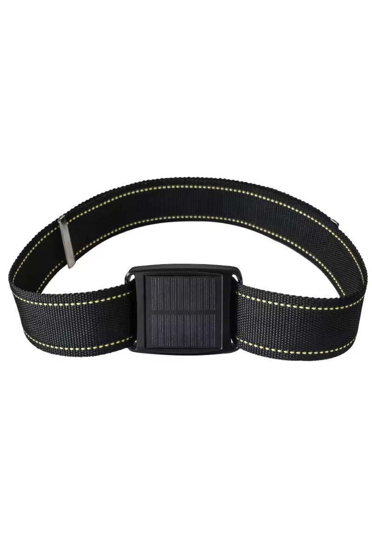 Minitechnics-GPS Device for Monitoring Large Animals, Dedicated Application with Monitoring in 3