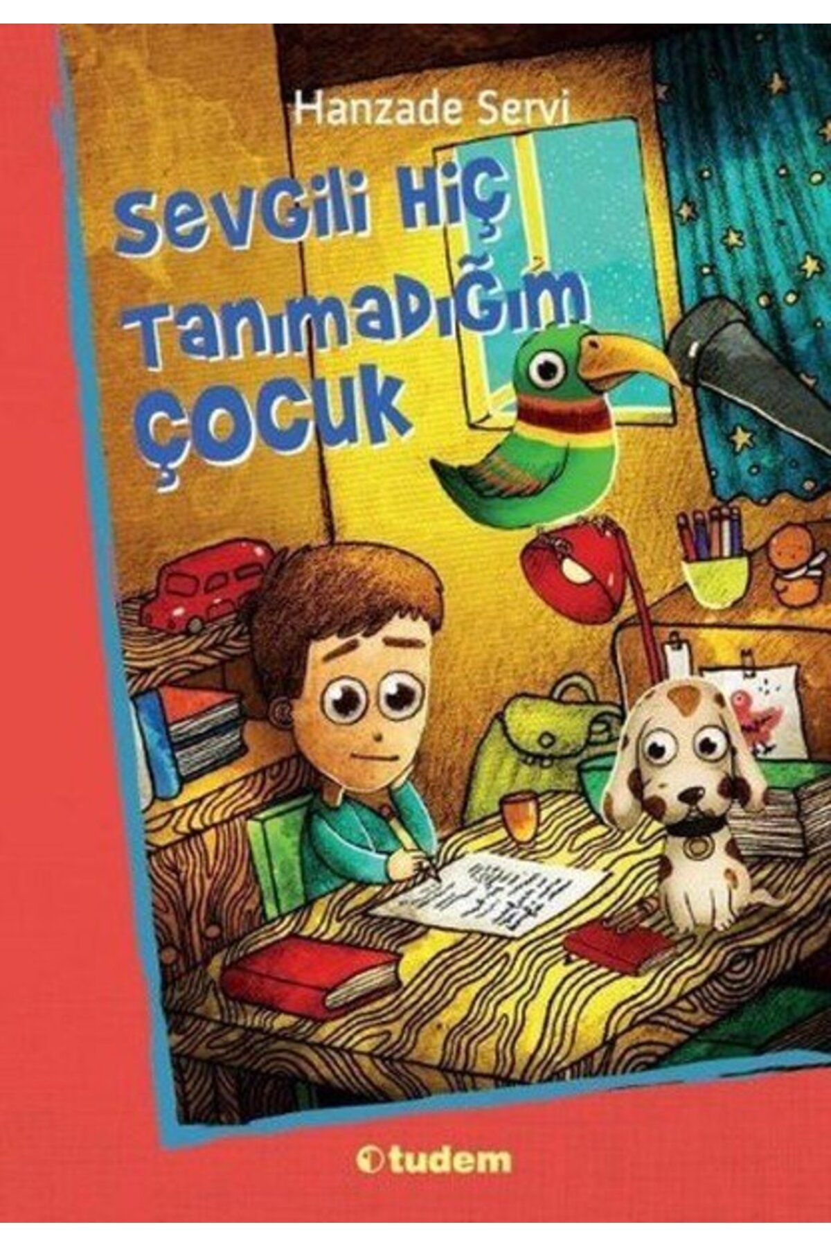 Tudem Yayınları Sevgili Hiç Tanımadığım Çocuk - Hanzade Servi