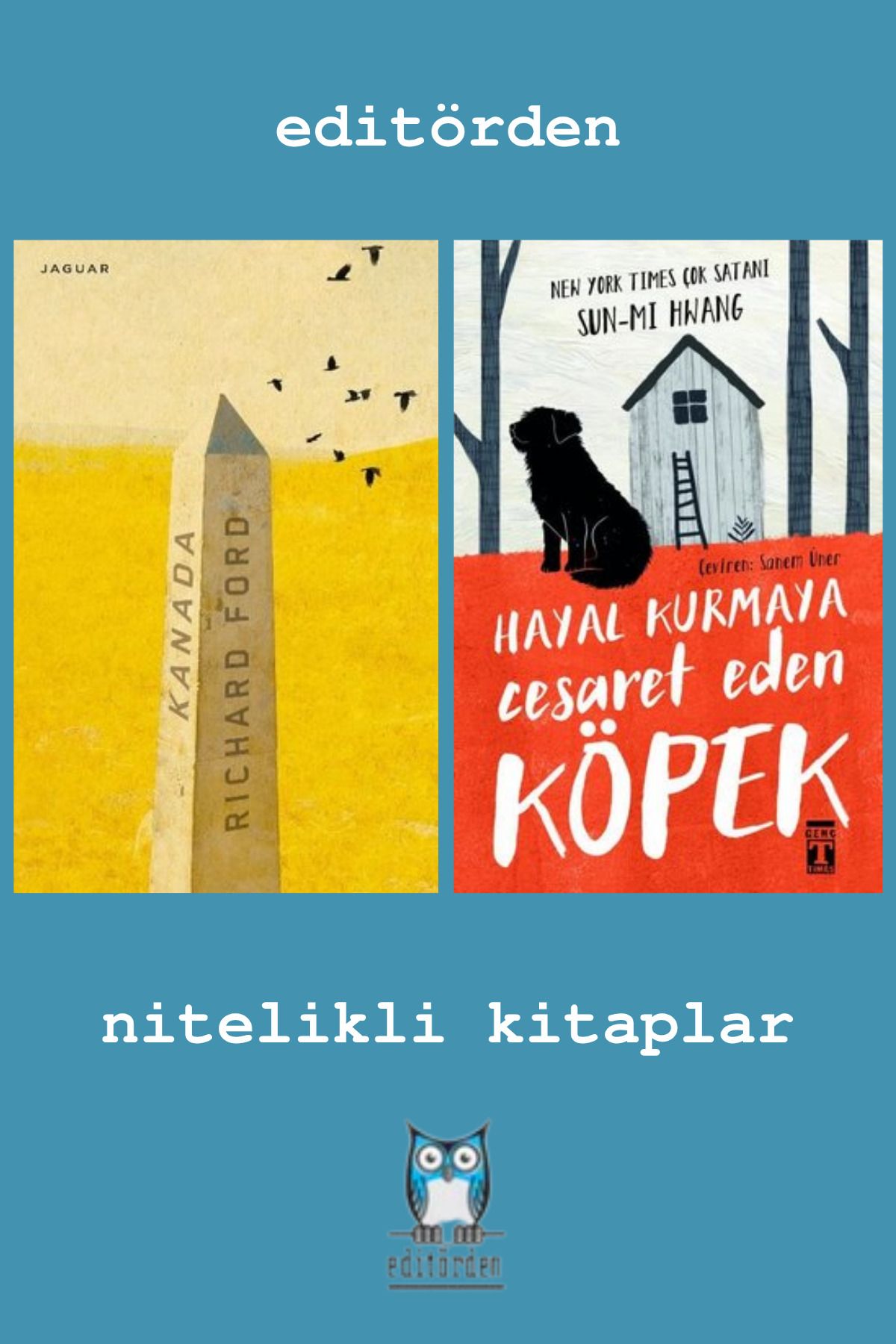 Yüzleşme Yayınları Kanada - Hayal Kurmaya Cesaret Eden Köpek / Sun-mi Hwang