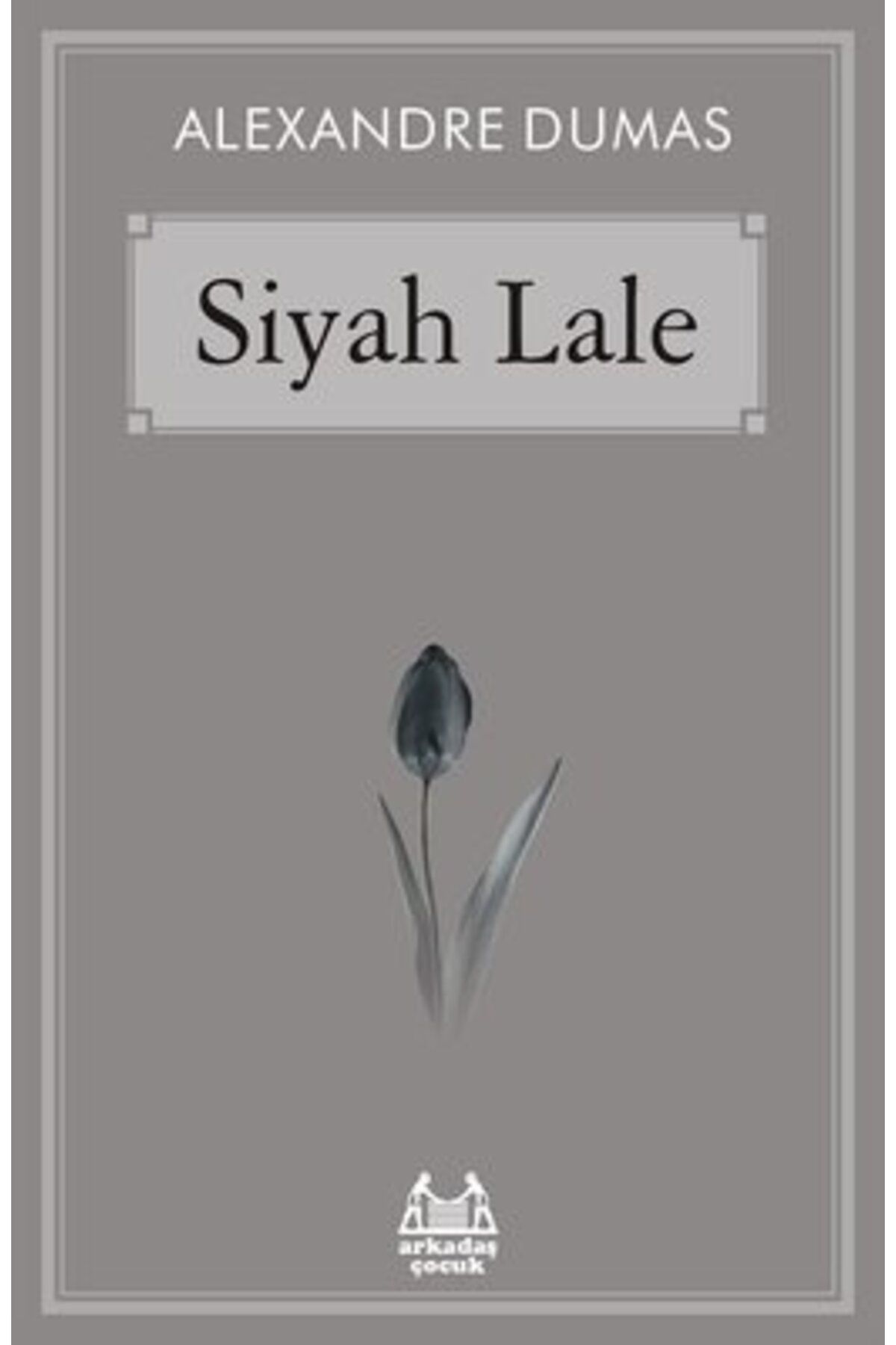 Arkadaş Yayınları Siyah Lale