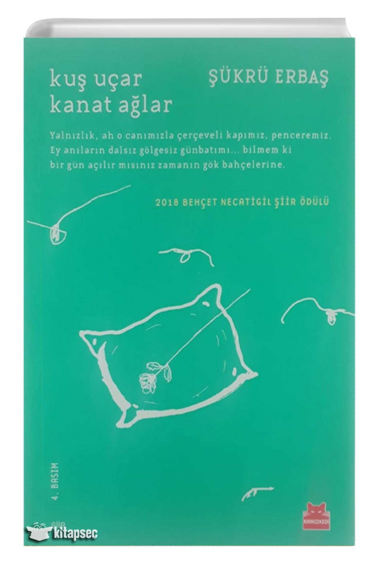 Kırmızı Kedi Yayınları KUŞ UÇAR KANAT AĞLAR