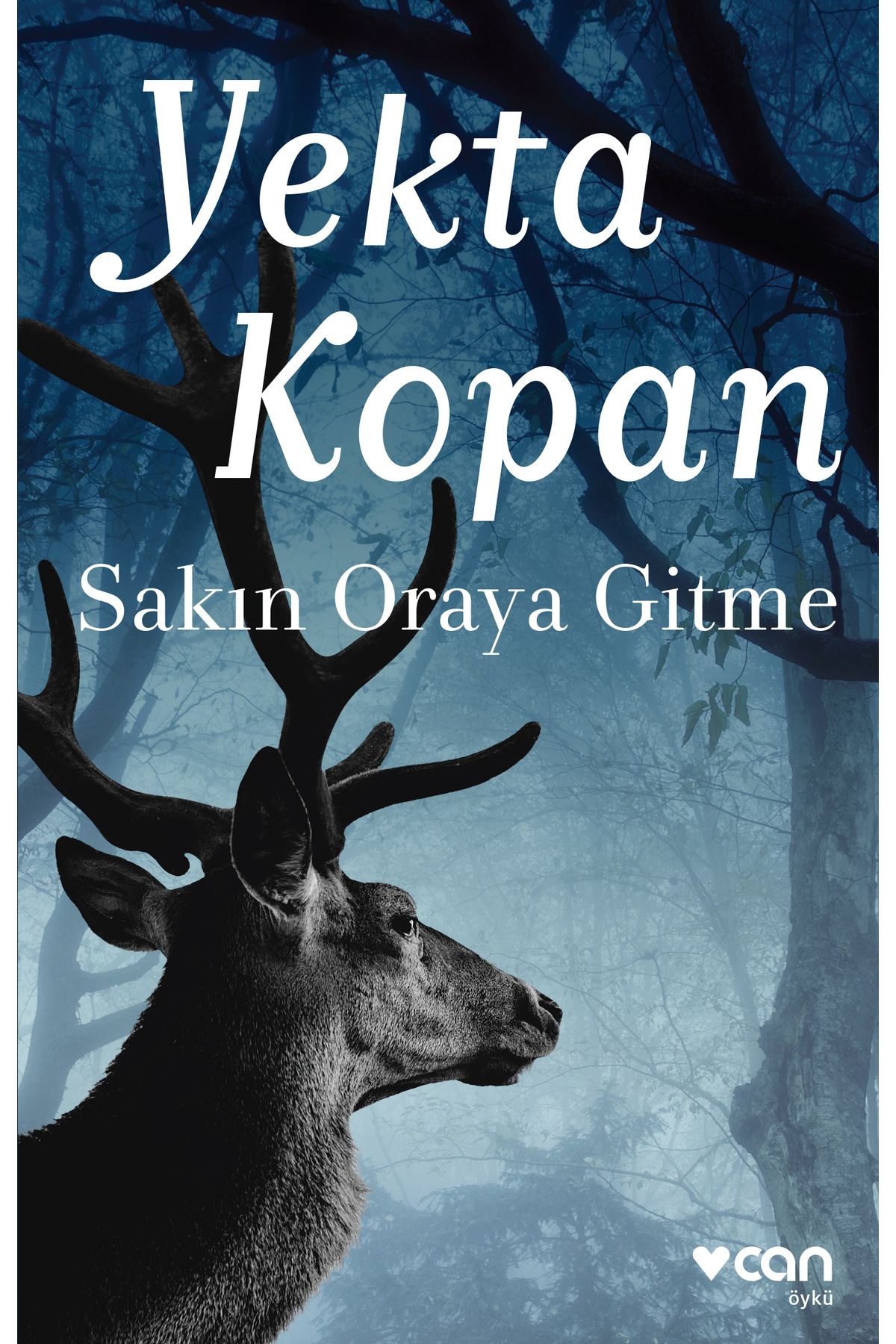 Can Yayınları SAKIN ORAYA GİTME