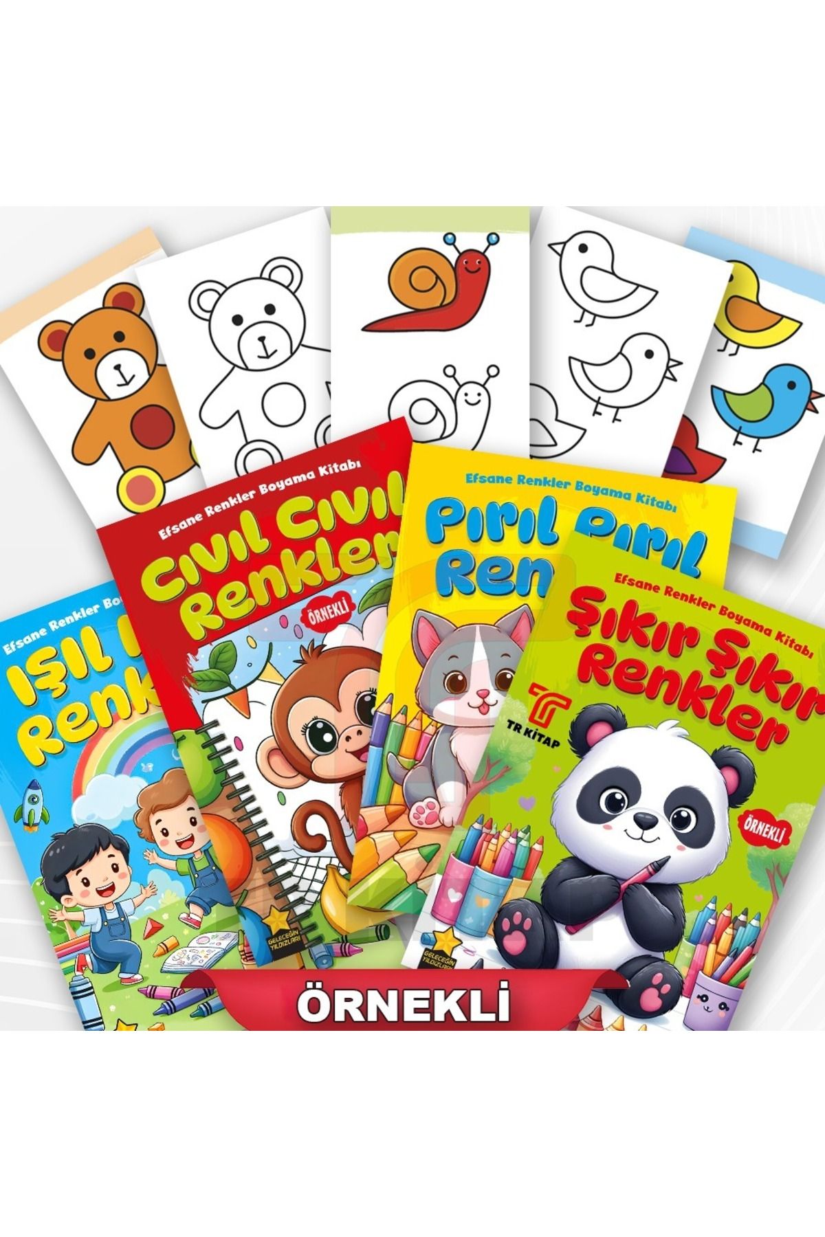 ema Efsane Renkler ÖRNEKLİ Boyama Kitabı 4 kitap Set