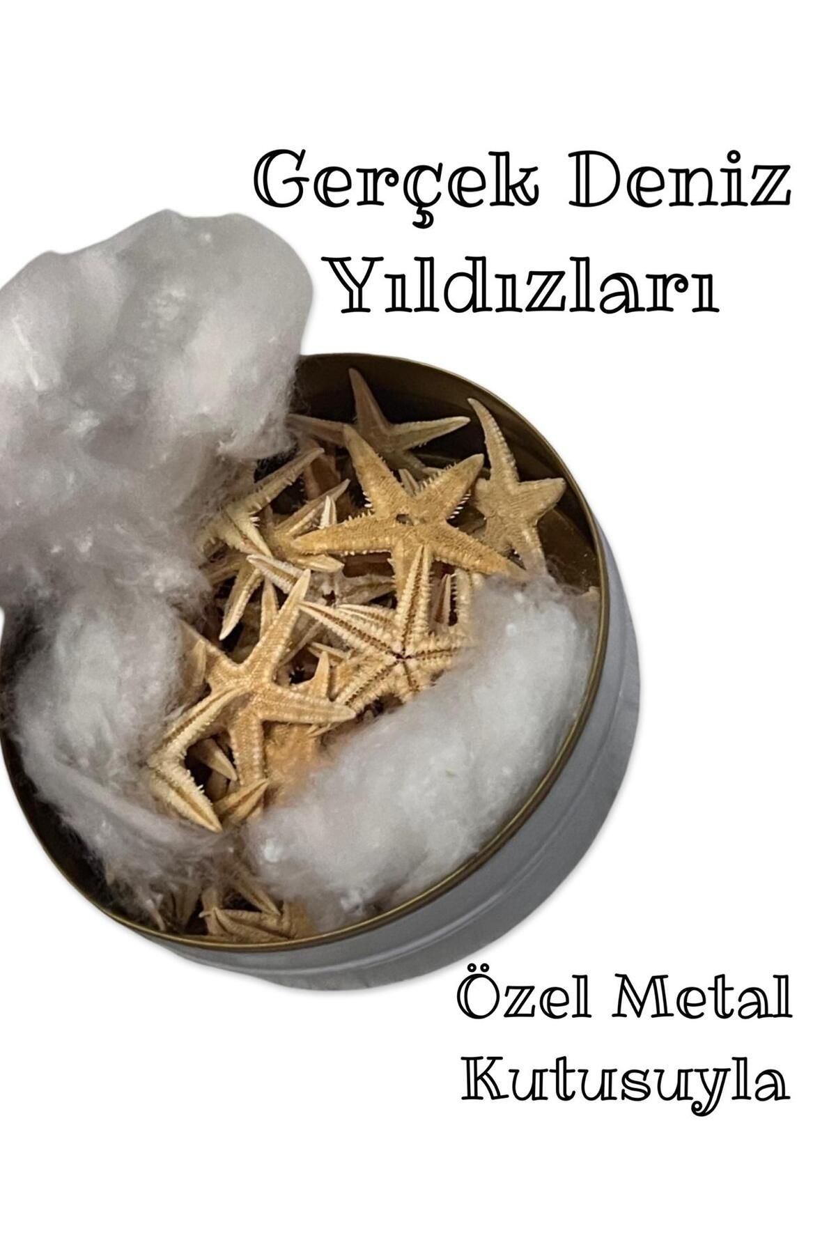 Artdeco Metal Kutuda 3 Boy , 50 Adet Gerçek Narin Deniz Yıldızı , Dekoratif Yıldız - ( Ort. 2 - 3 Cm. )