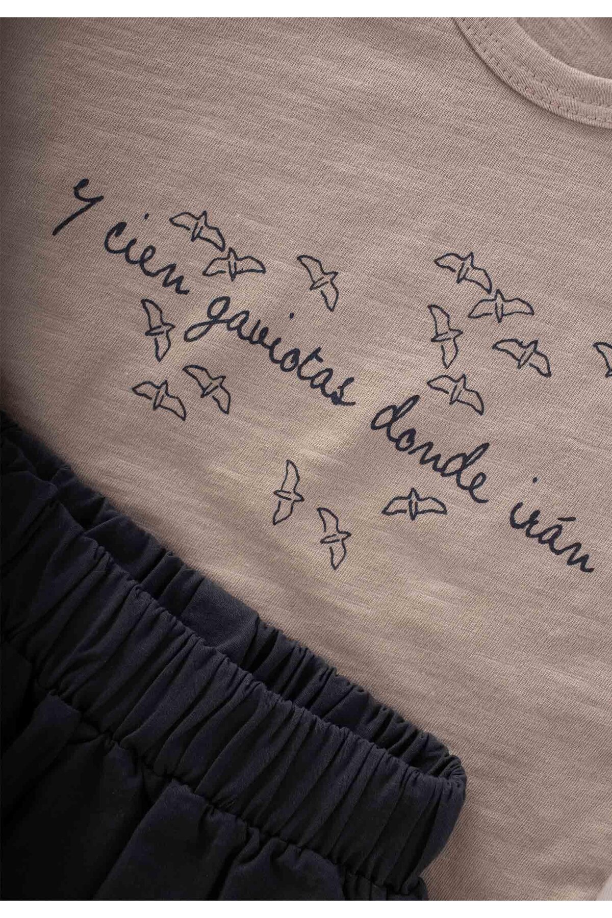 Cigit Baskılı Pantolonlu T-Shırt Takım 1-5 Yaş Gri fotoğrafı 3 (önizleme)