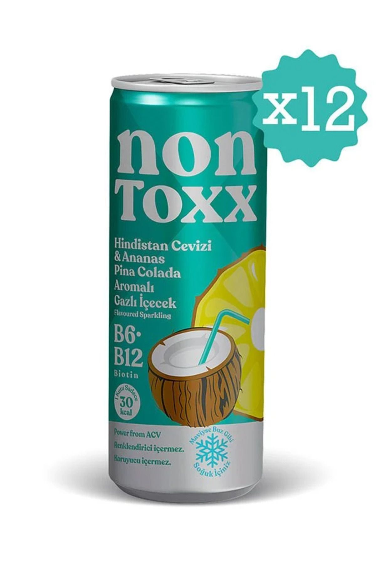 NON TOXX Hindistan Cevizi & Ananas Aromalı Sirkeli Gazlı İçecek 250 ml x 12 Adet (Koli)