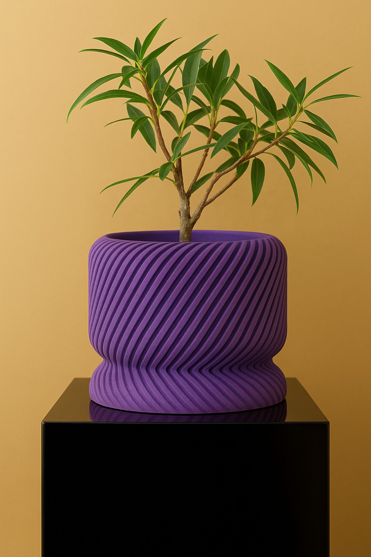Printora Spiral Doku Tasarımlı 3D Saksı + Altlık Seti