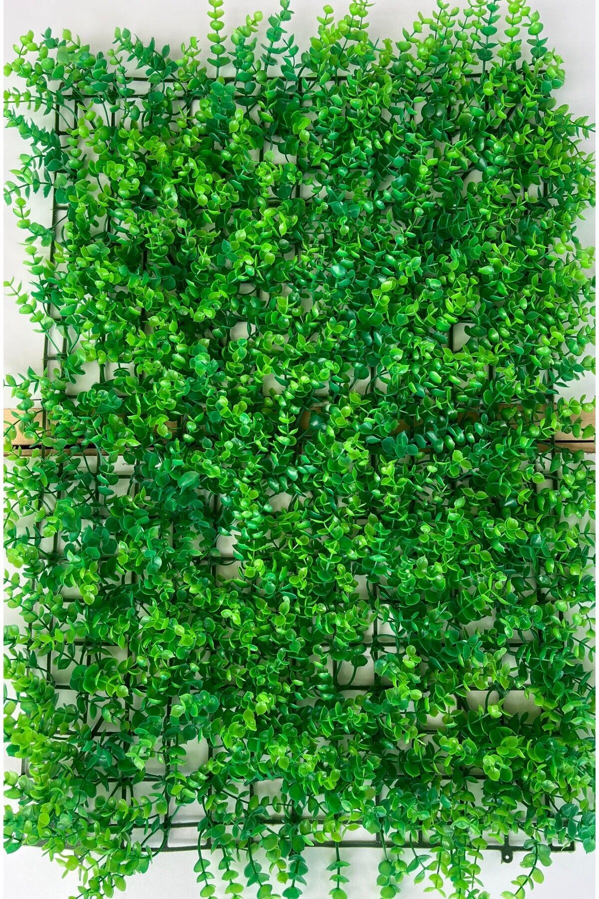 NAXAY Dekoratif Yapay Bitki Duvar Kaplama Panel Şimşir Tabaka 40x60 cm Yeşil Dikey Bahçe