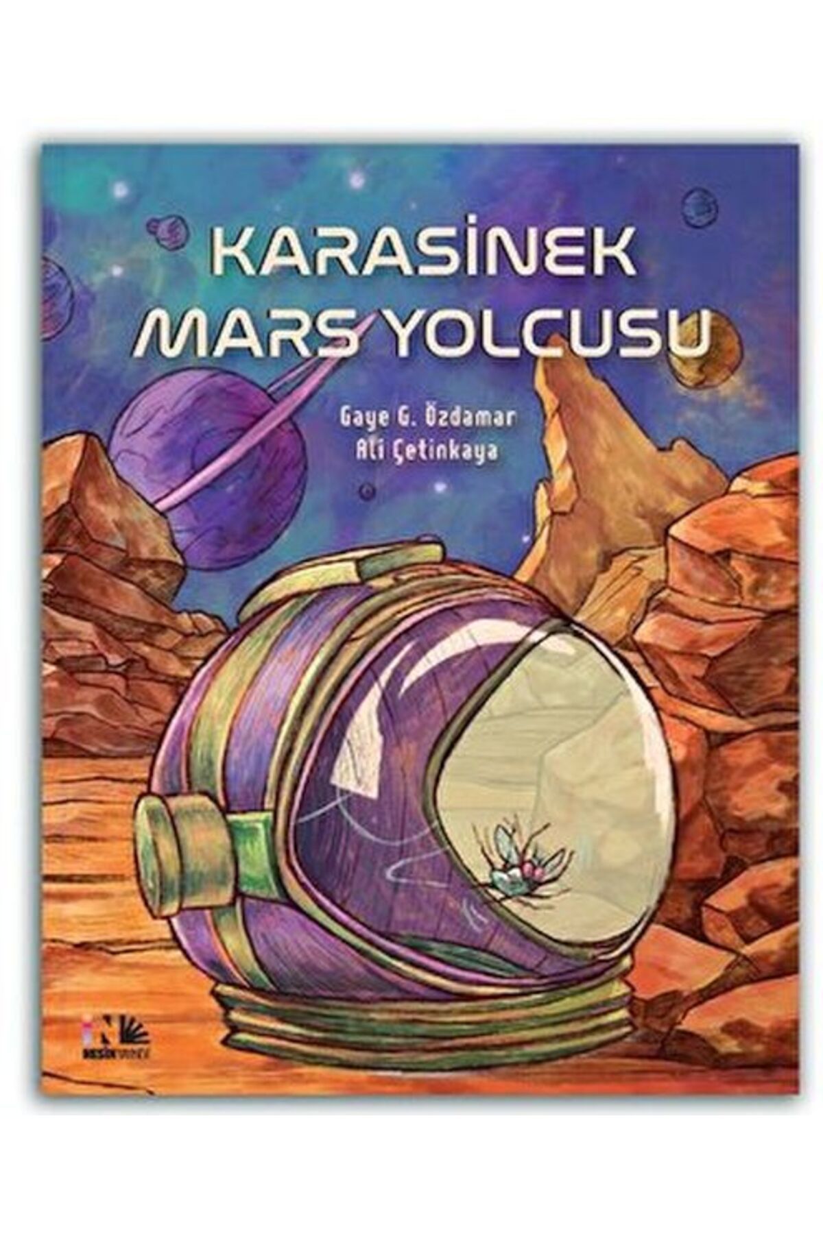 Nesin Matematik Köyü Karasinek Mars Yolcusu