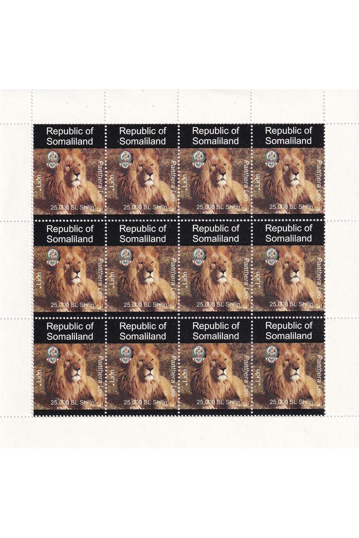Benim Koleksiyonum-Somaliland, Cto, Lion (Panthera Leo) Block Stamp with Lace 1