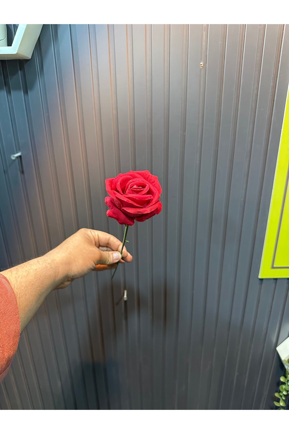 İremÇiçekçilik Yapay Çiçek Gül Kırmızı Kadife