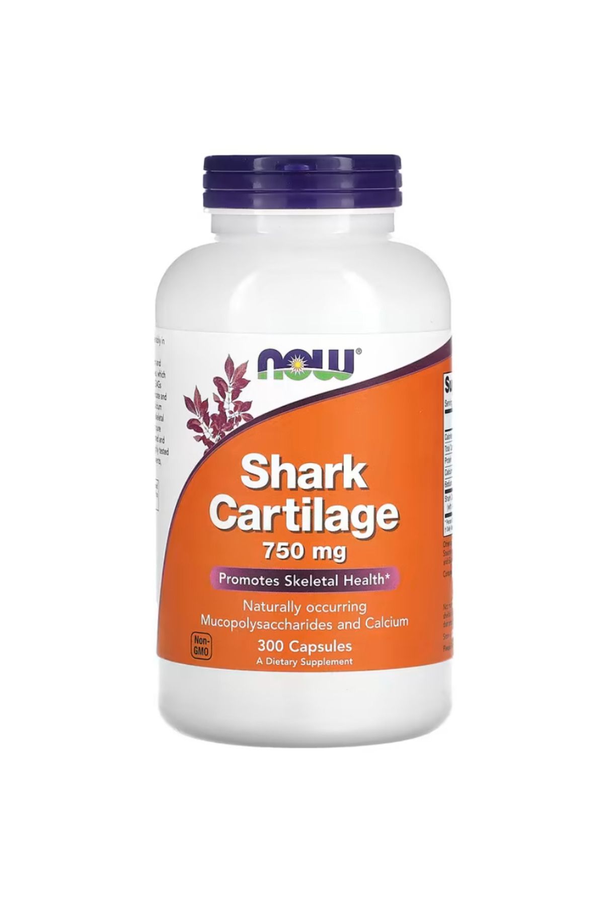 Now Foods , Shark Cartilage, 750 mg, 300 Capsules