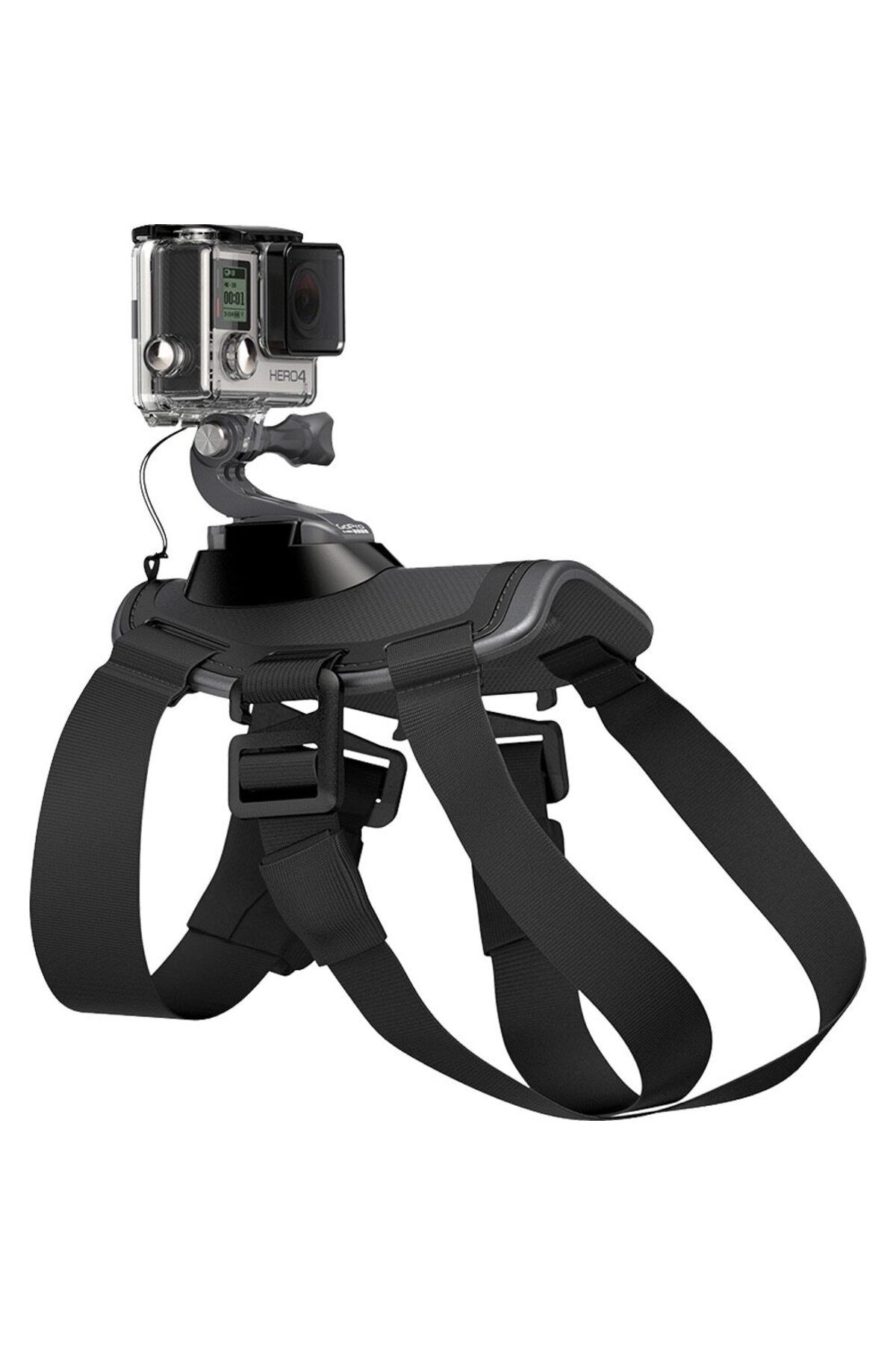 GoPro-Adjustable GoPro sports video camera harness for dogs 2