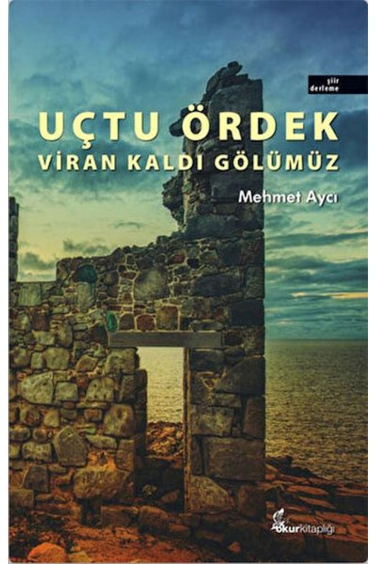 Okur Kitaplığı Uçtu Ördek Viran Kaldı Gölümüz