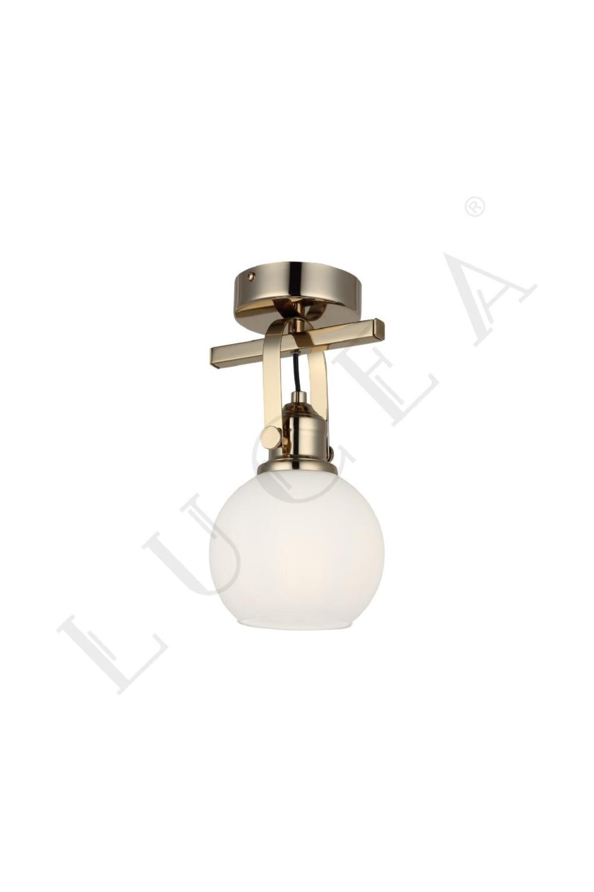LUCEA PAMO ALTIN TEKLİ PLAFONYER AVİZE