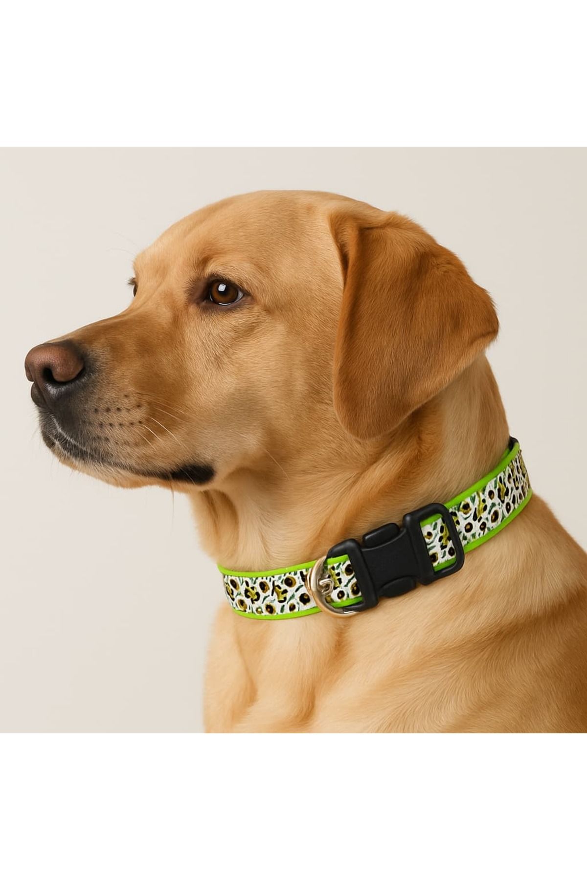 Petesia LED Işıklı Köpek Tasması – Ayarlanabilir ve Suya Dayanıklı